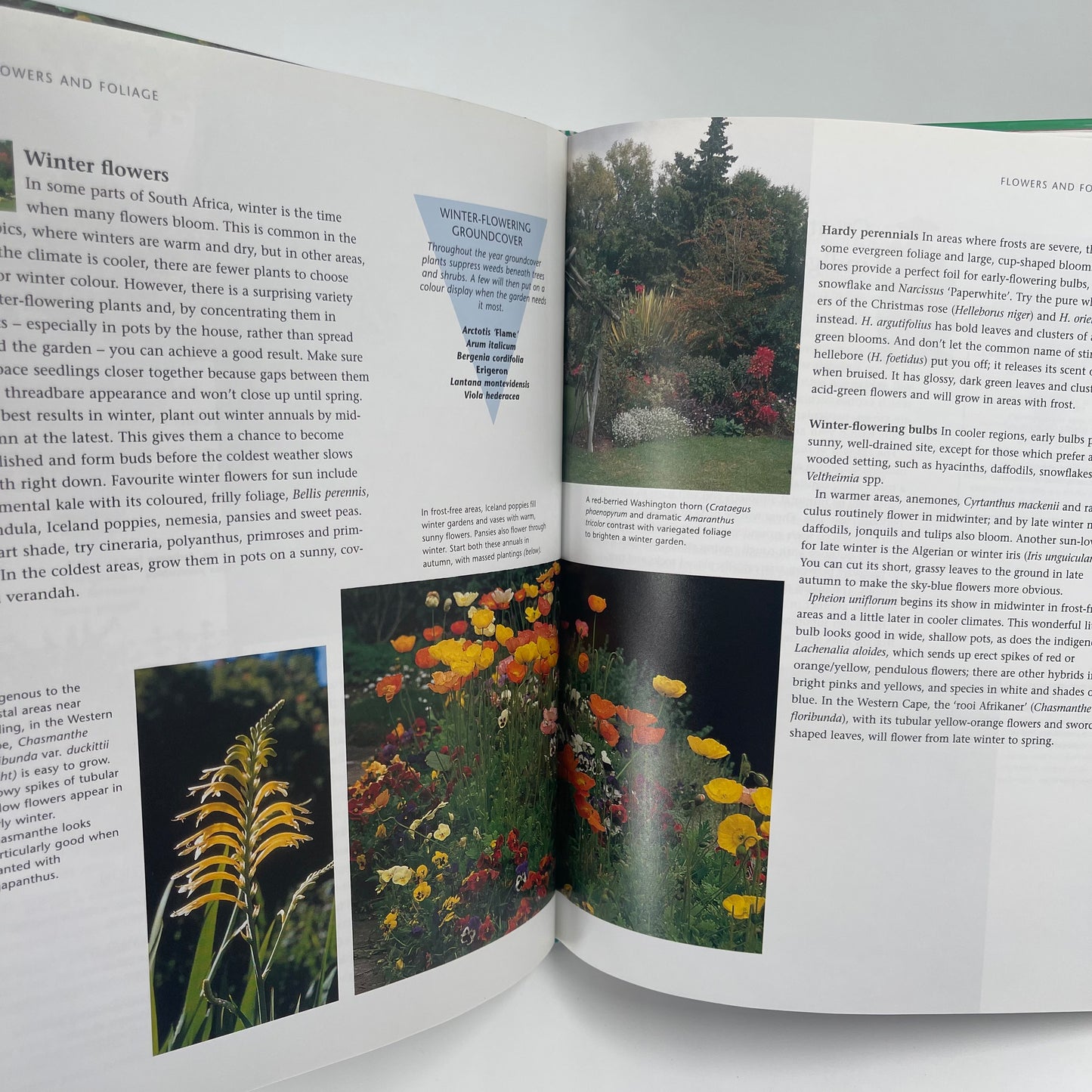 Short cuts to great gardens, the essential gardening for busy South Africans - Dougie Oakes - Back Cover