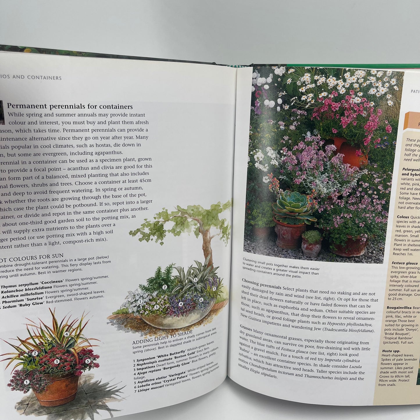 Short cuts to great gardens, the essential gardening for busy South Africans - Dougie Oakes - Bottom Edge