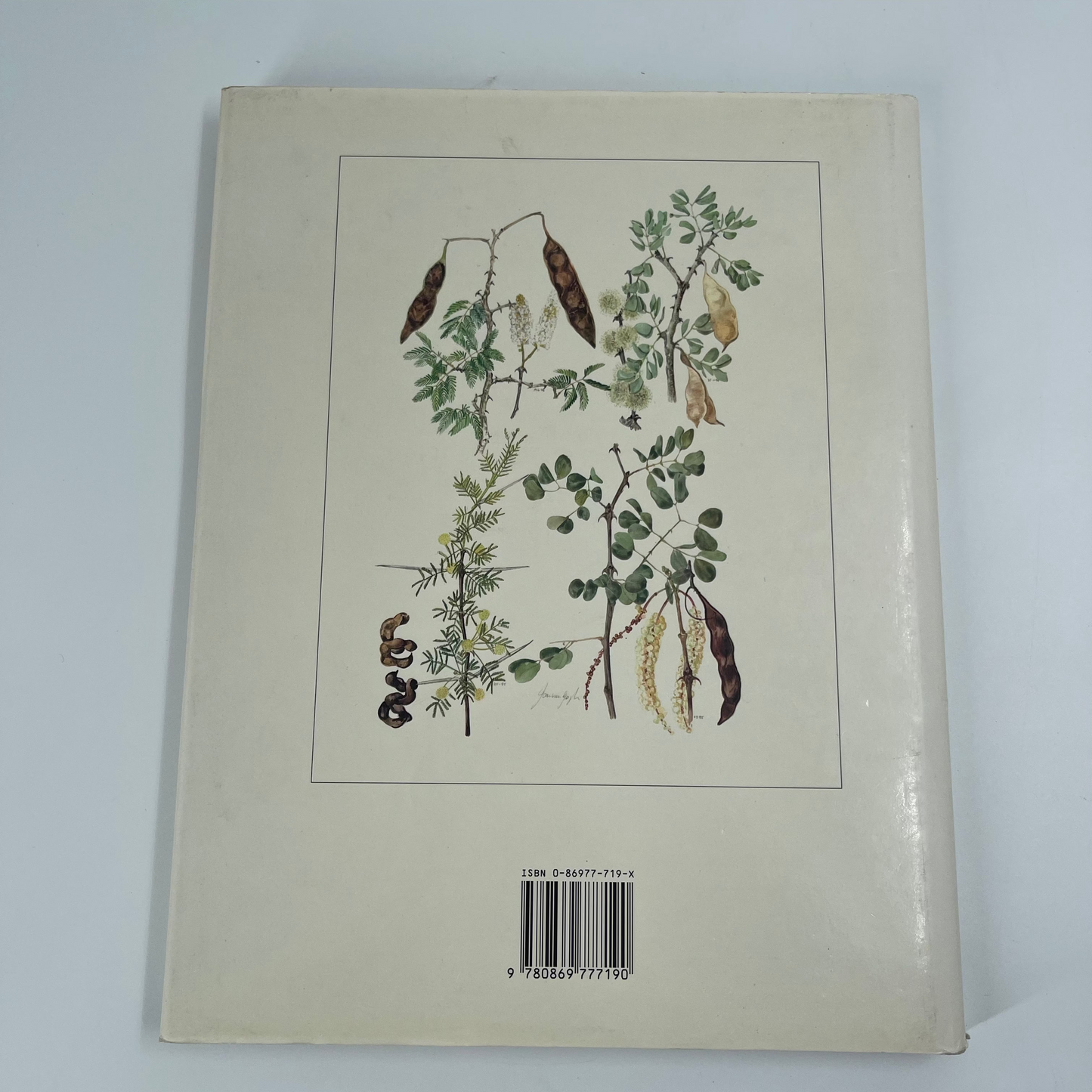 Trees & Shrubs of the Witwatersrand, Magaliesberg & Pilanesberg - Joan Van Gogh - Bottom Edge