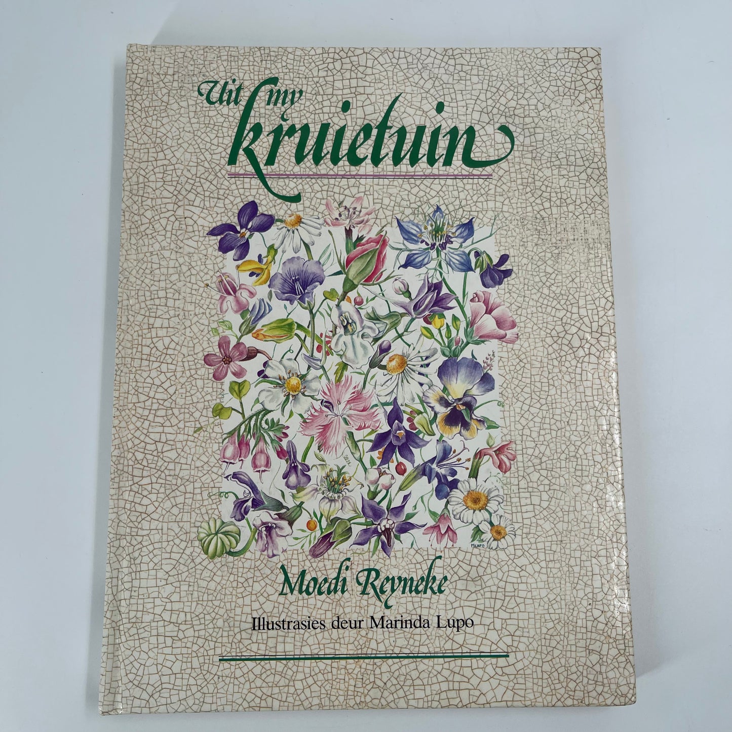Uit my kruietuin (Afrikaans Edition) - Reyneke - Front Cover