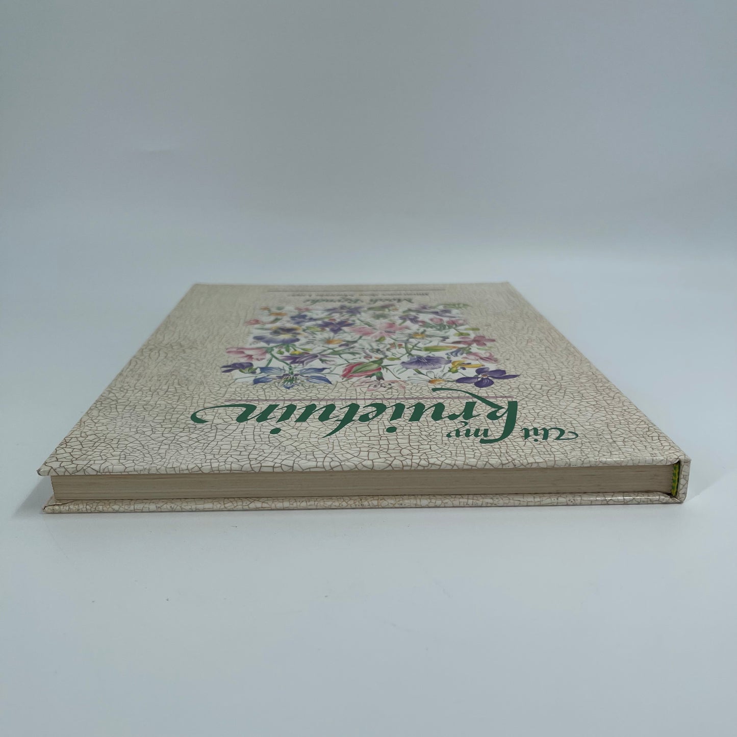 Uit my kruietuin (Afrikaans Edition) - Reyneke - Spine
