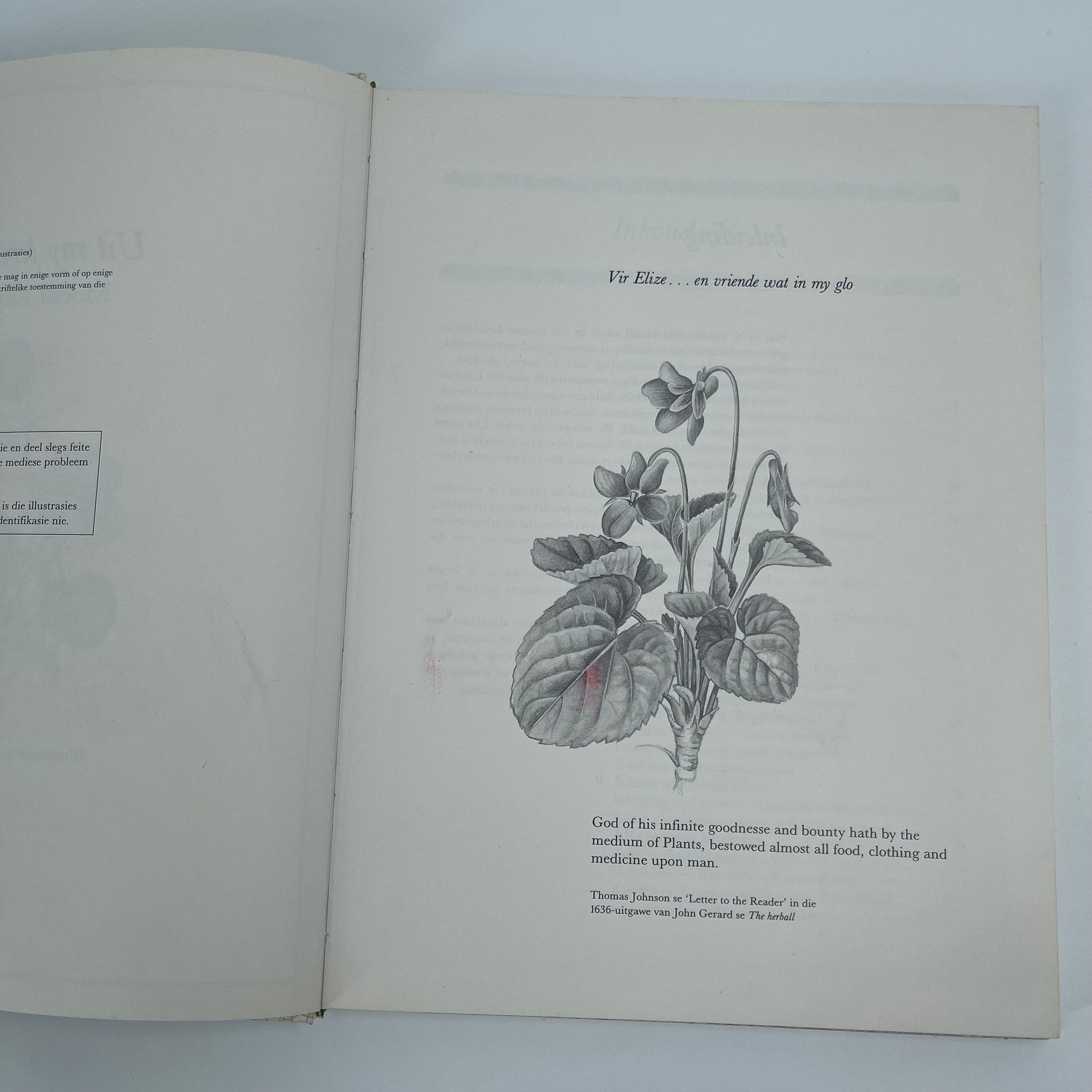 Uit my kruietuin (Afrikaans Edition) - Reyneke - Condition Detail 2