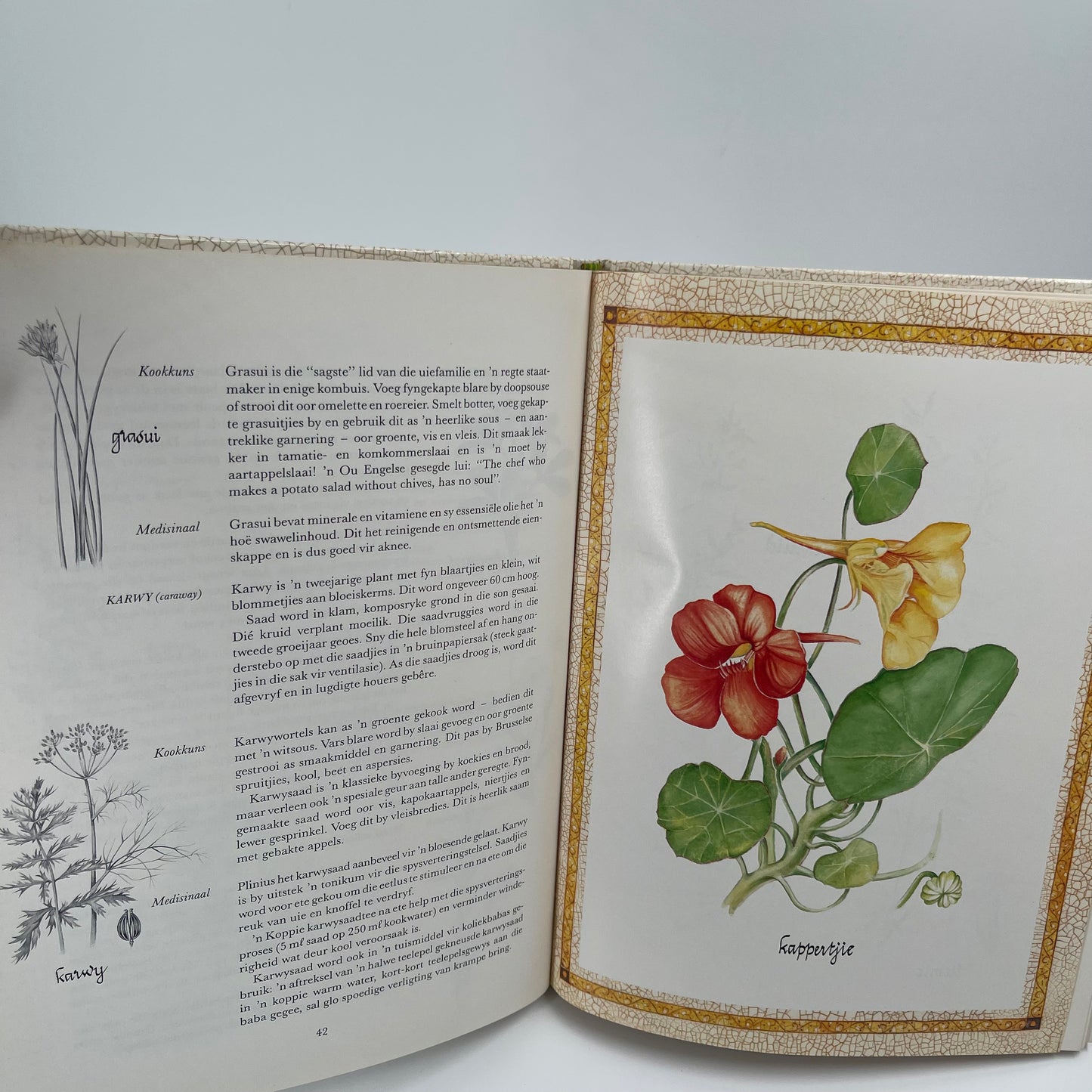 Uit my kruietuin (Afrikaans Edition) - Reyneke - Condition Detail 3