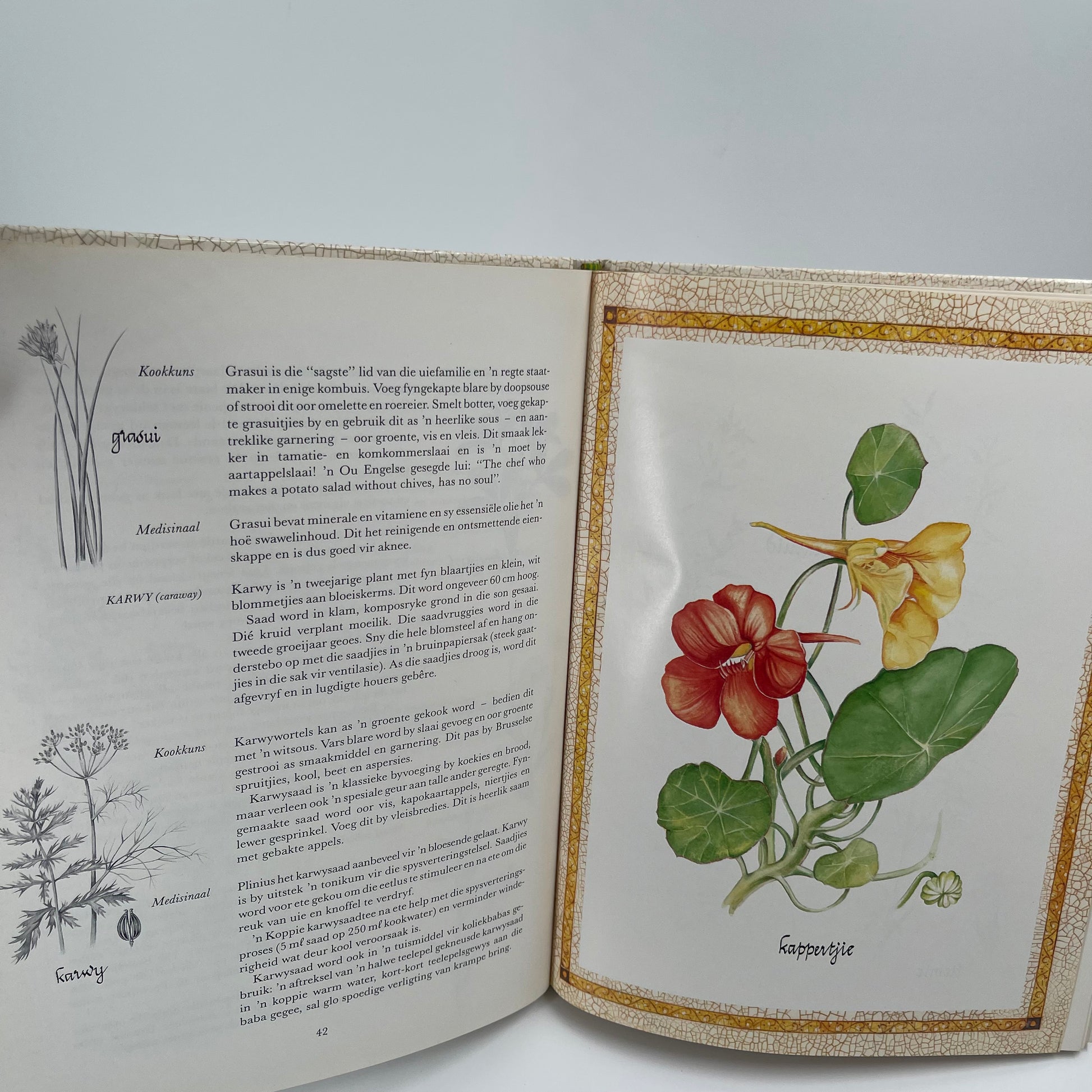 Uit my kruietuin (Afrikaans Edition) - Reyneke - Condition Detail 3