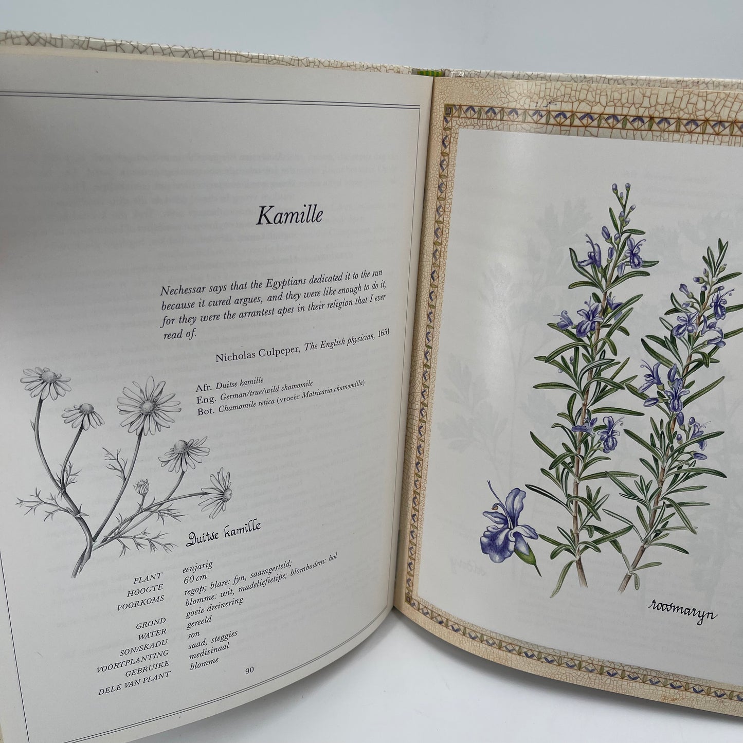 Uit my kruietuin (Afrikaans Edition) - Reyneke - Condition Detail 4