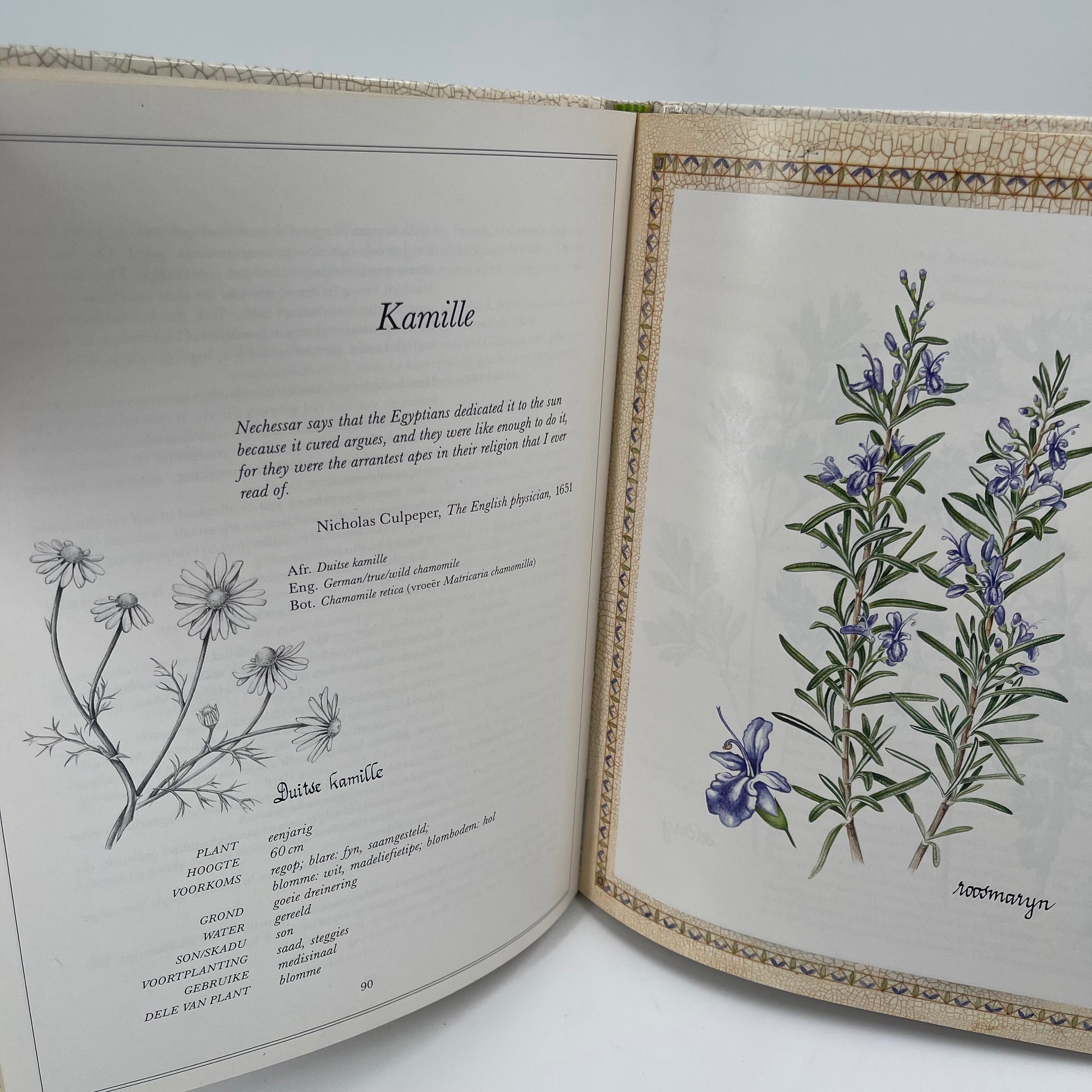 Uit my kruietuin (Afrikaans Edition) - Reyneke - Condition Detail 4