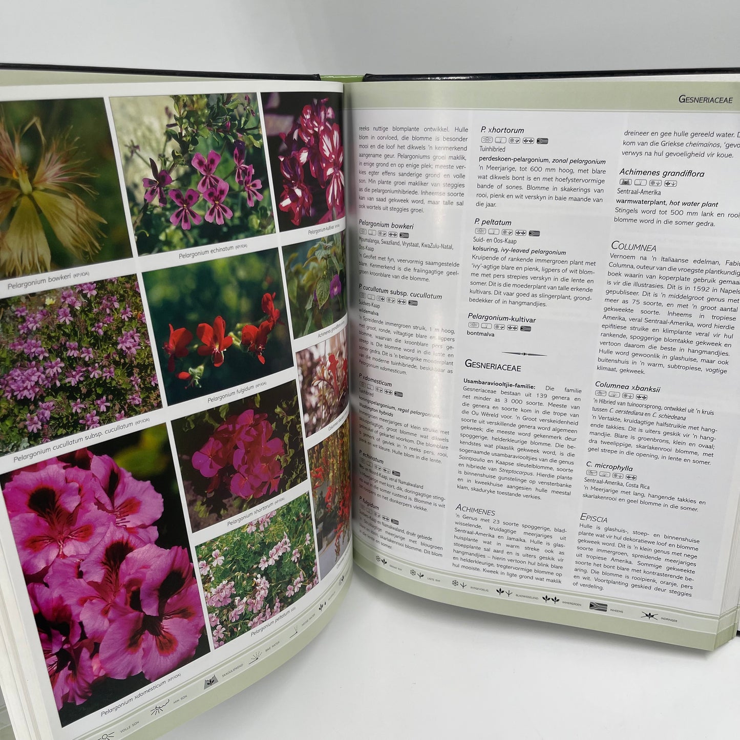 Watter Blom Is Dit (5th Ed) - unknown author - Bottom Edge