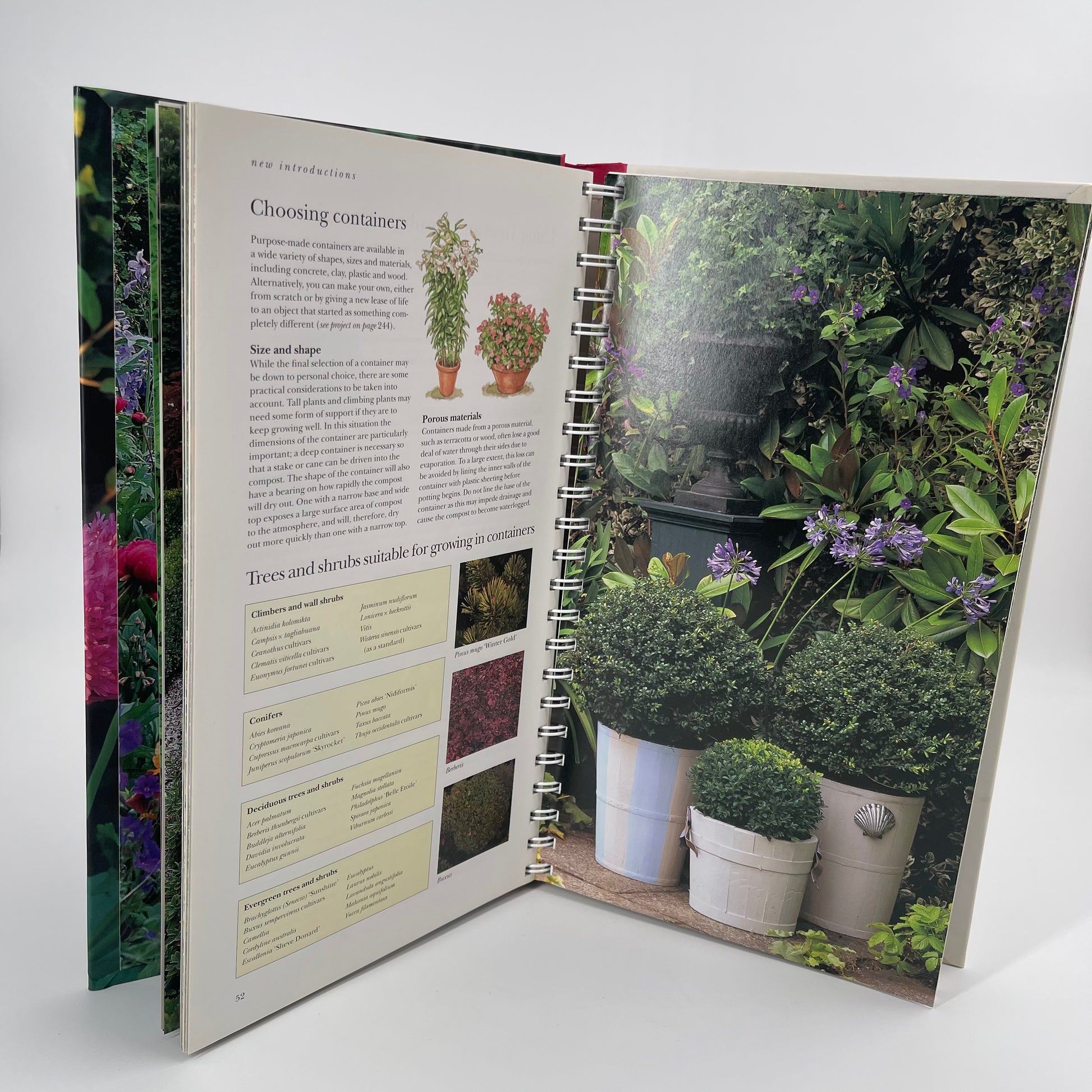 A Year in the Garden - Steve Bradley - Back Cover