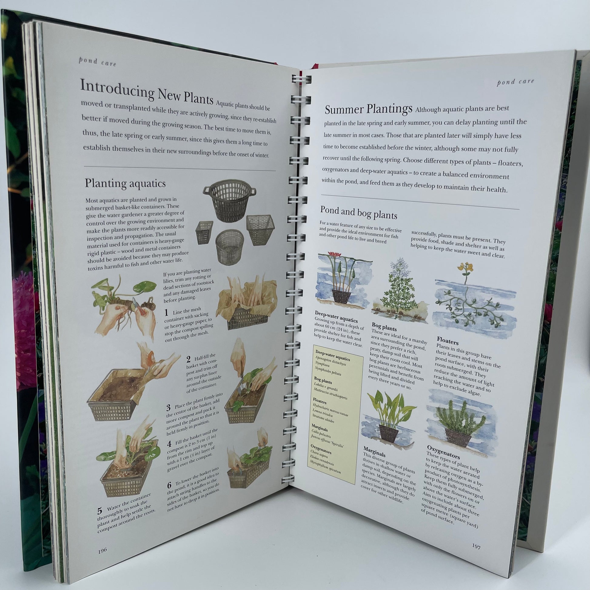 A Year in the Garden - Steve Bradley - Bottom Edge