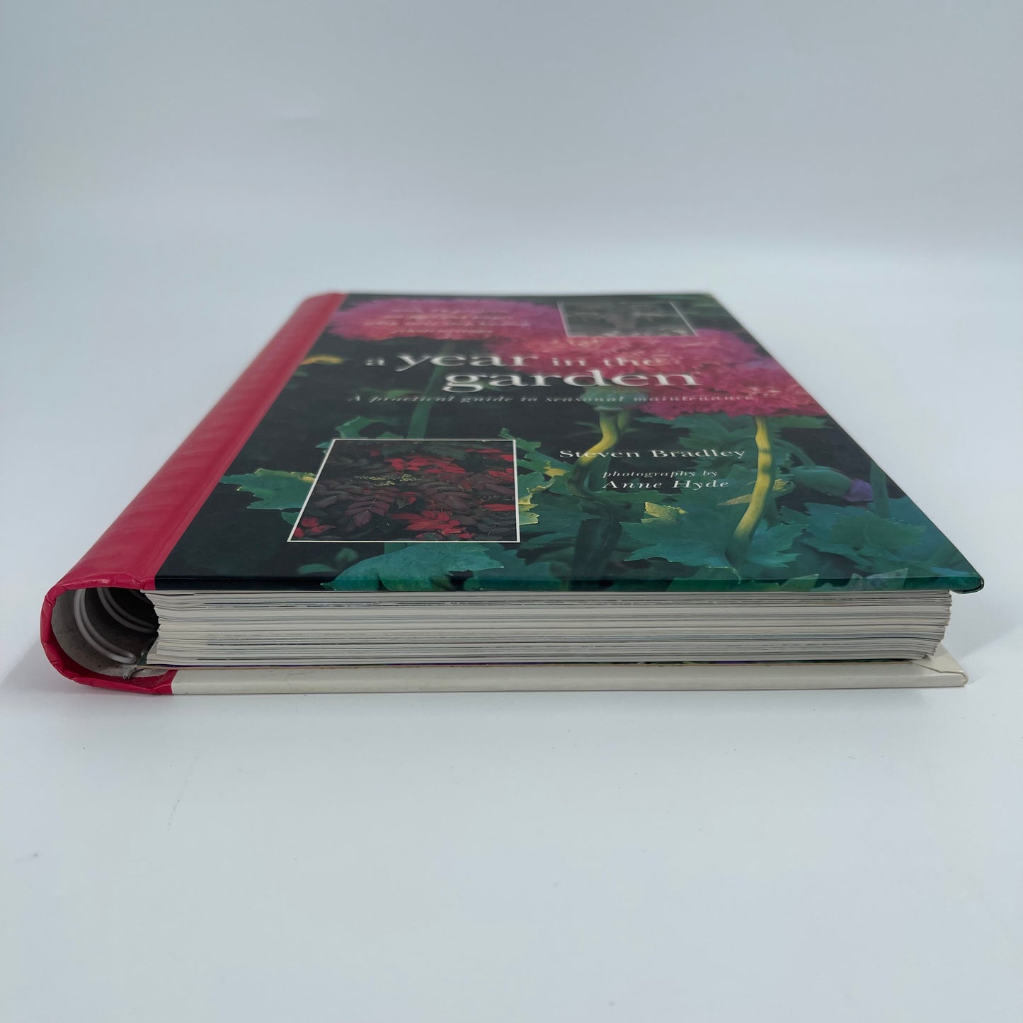 A Year in the Garden - Steve Bradley - Top Edge