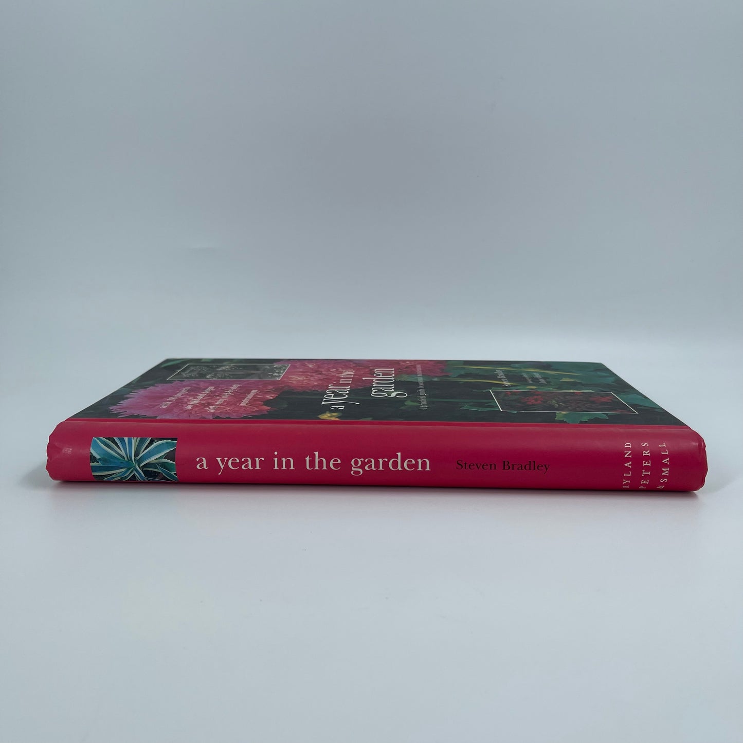 A Year in the Garden - Steve Bradley - Condition Detail 2