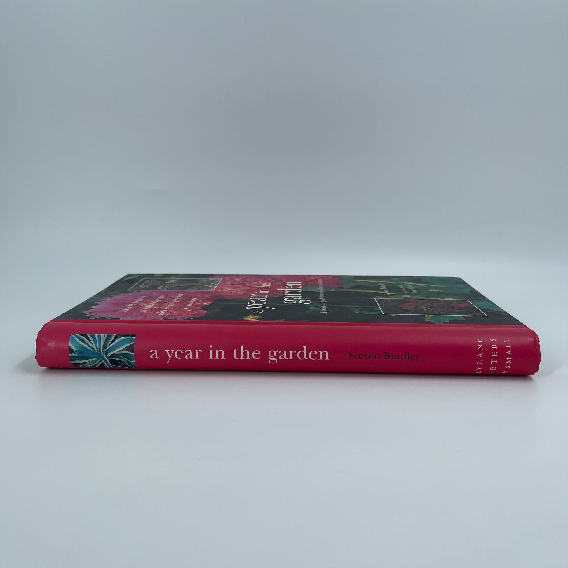 A Year in the Garden - Steve Bradley - Condition Detail 2