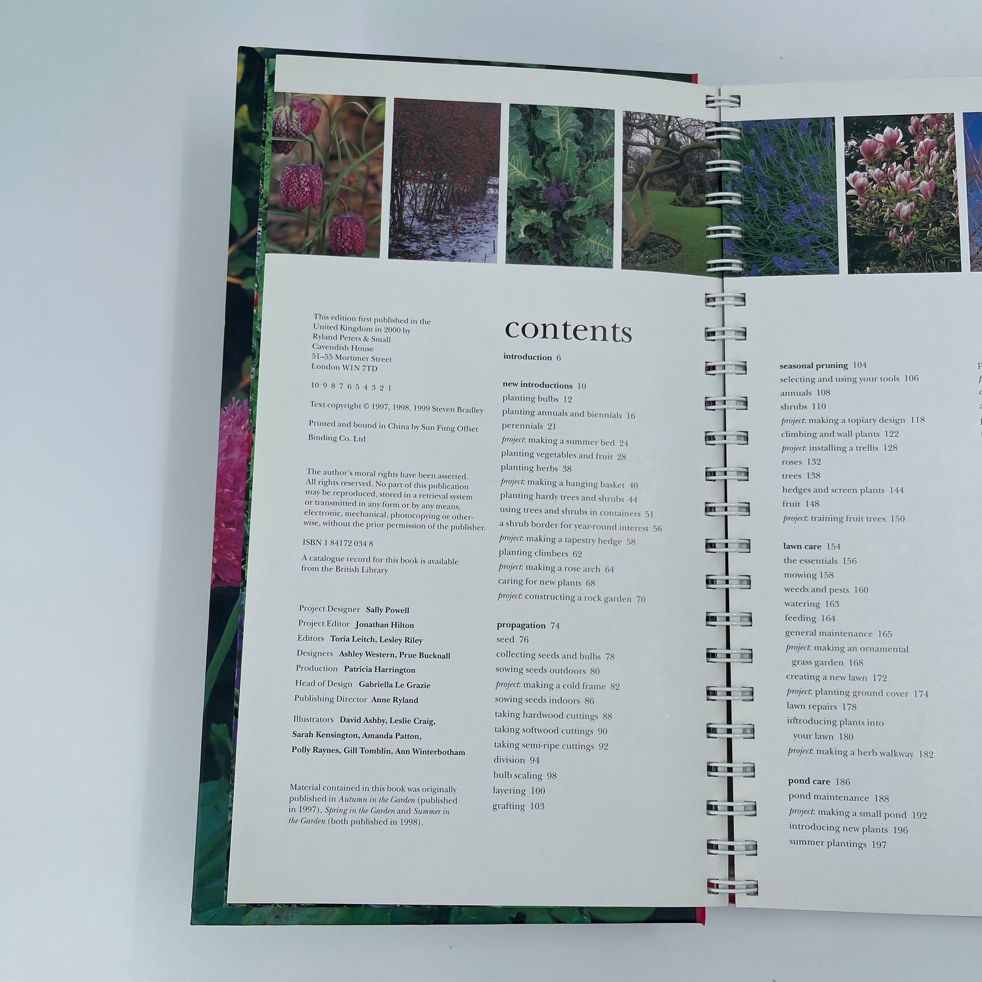 A Year in the Garden - Steve Bradley - Condition Detail 3