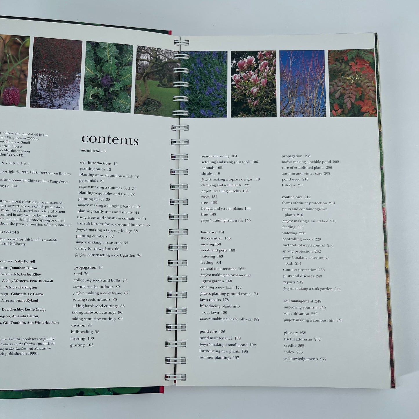 A Year in the Garden - Steve Bradley - Condition Detail 4