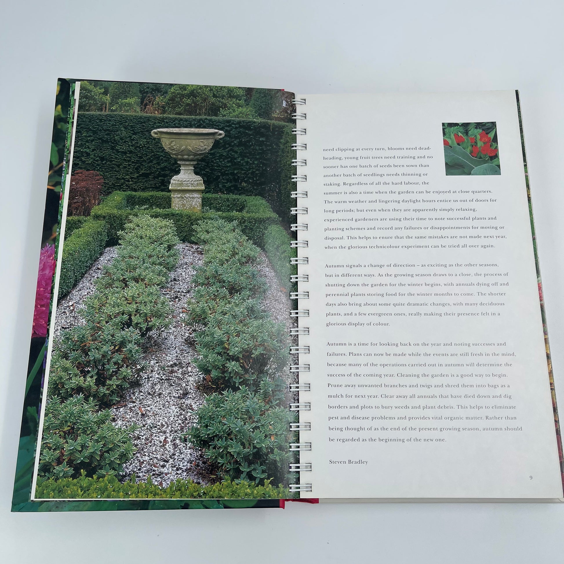 A Year in the Garden - Steve Bradley - Condition Detail 5