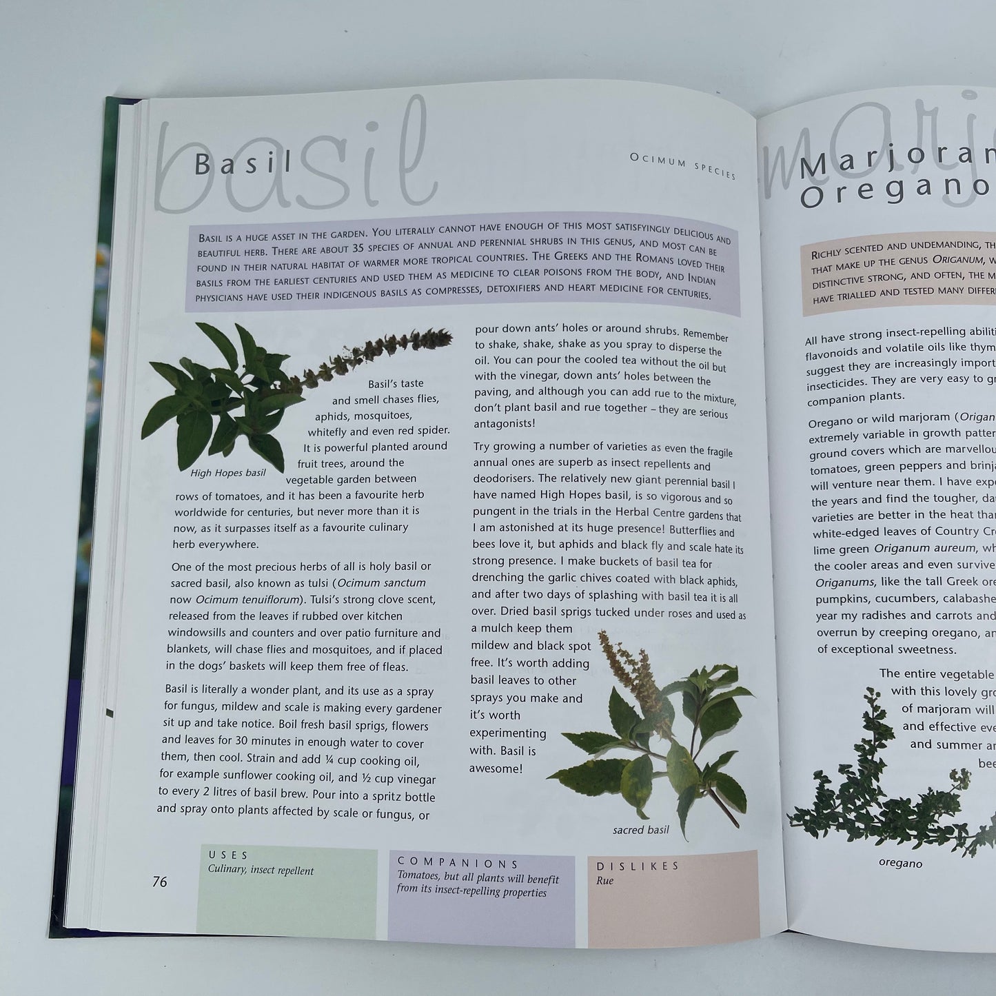 Companion Planting - Margaret Roberts - Back Cover
