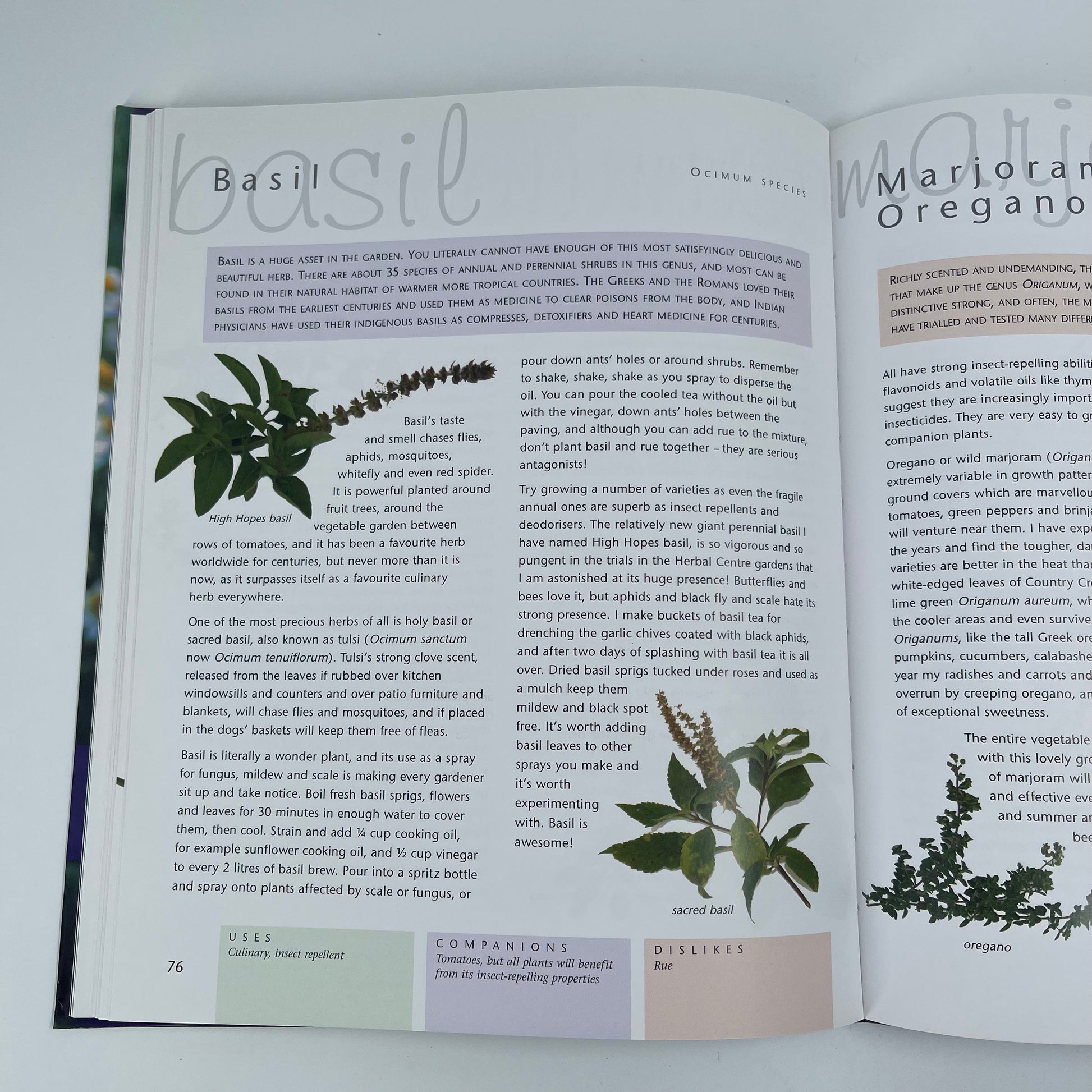 Companion Planting - Margaret Roberts - Back Cover