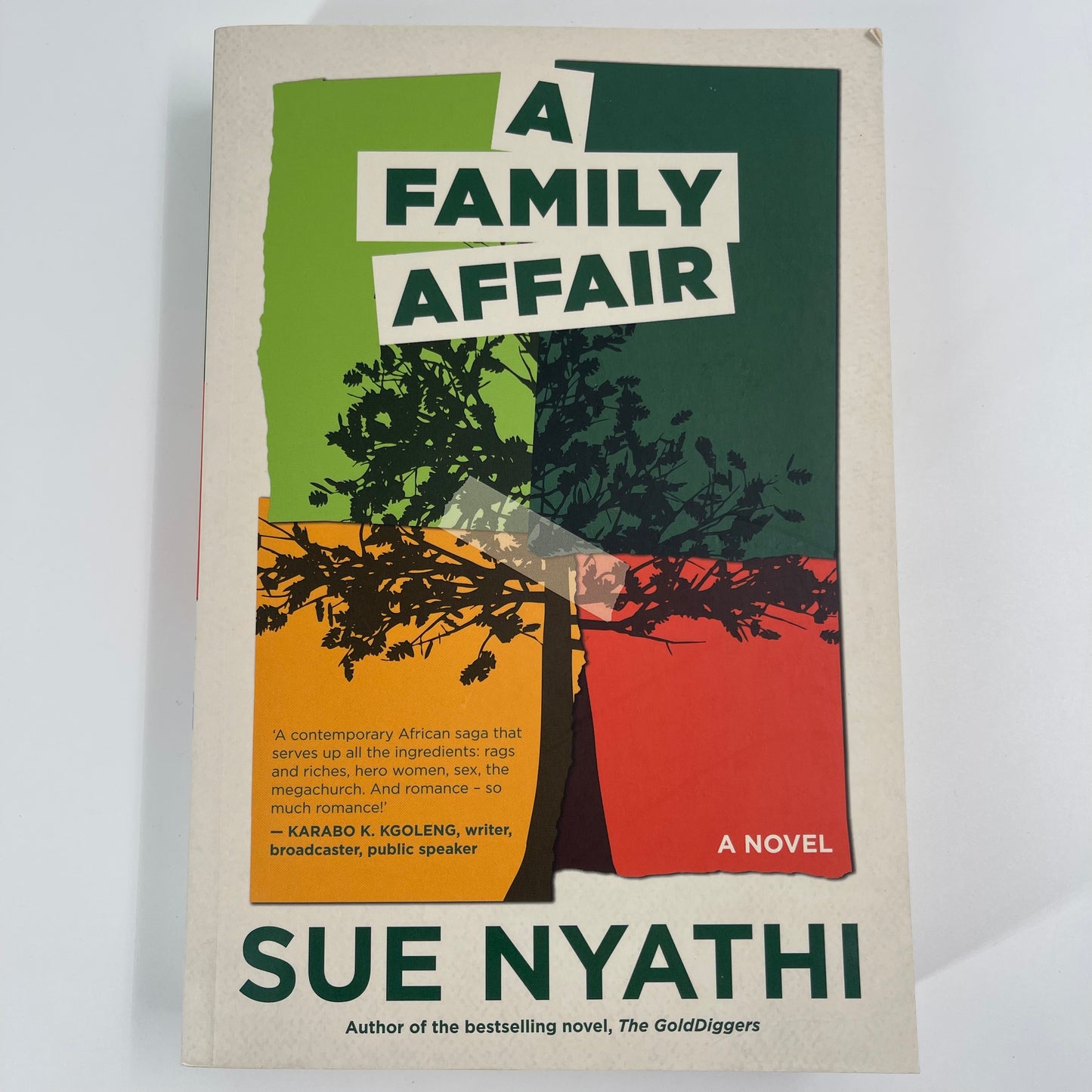 A Family Affair A Novel - Sue Nyathi - Front Cover
