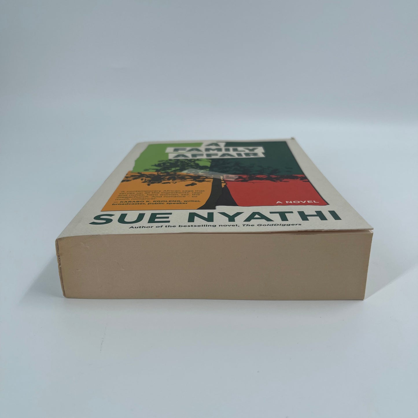 A Family Affair A Novel - Sue Nyathi - Bottom Edge
