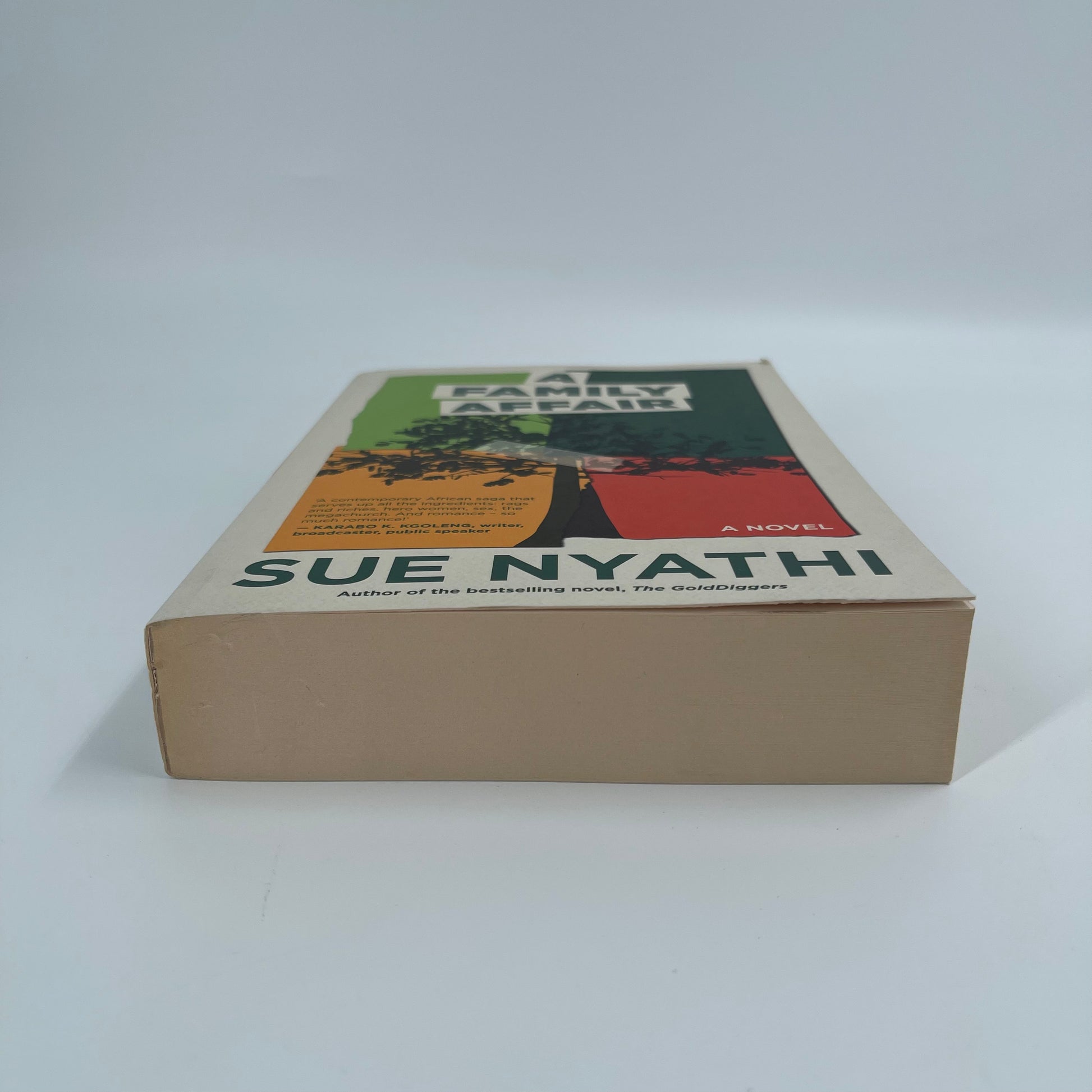 A Family Affair A Novel - Sue Nyathi - Bottom Edge