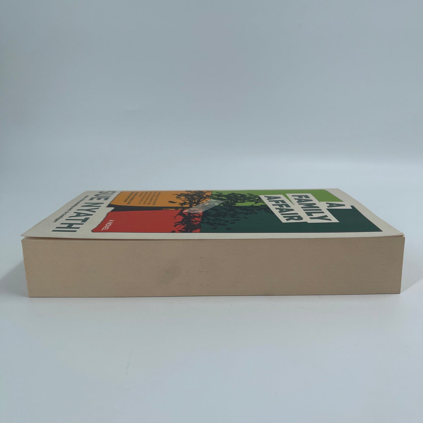 A Family Affair A Novel - Sue Nyathi - Fore Edge