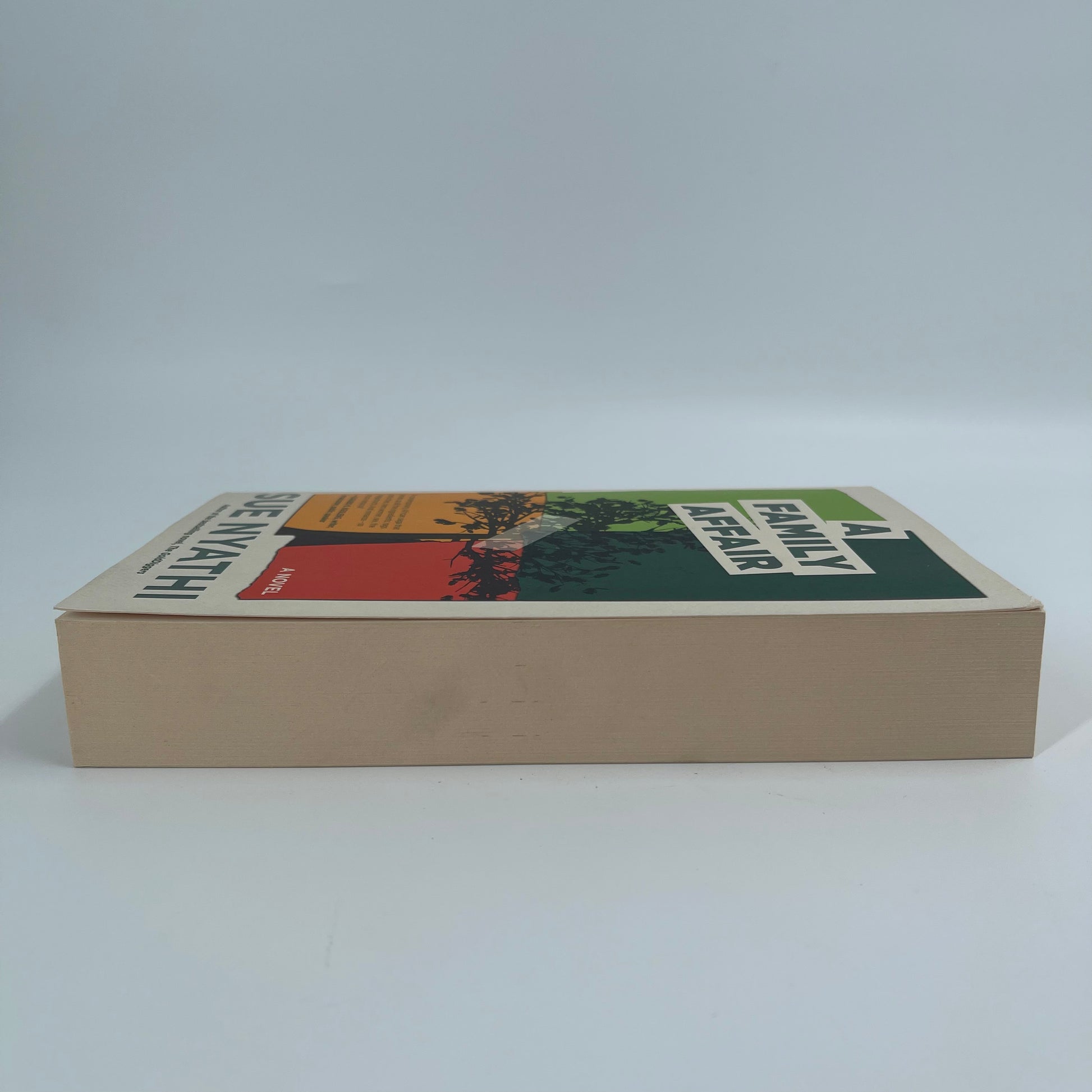 A Family Affair A Novel - Sue Nyathi - Fore Edge