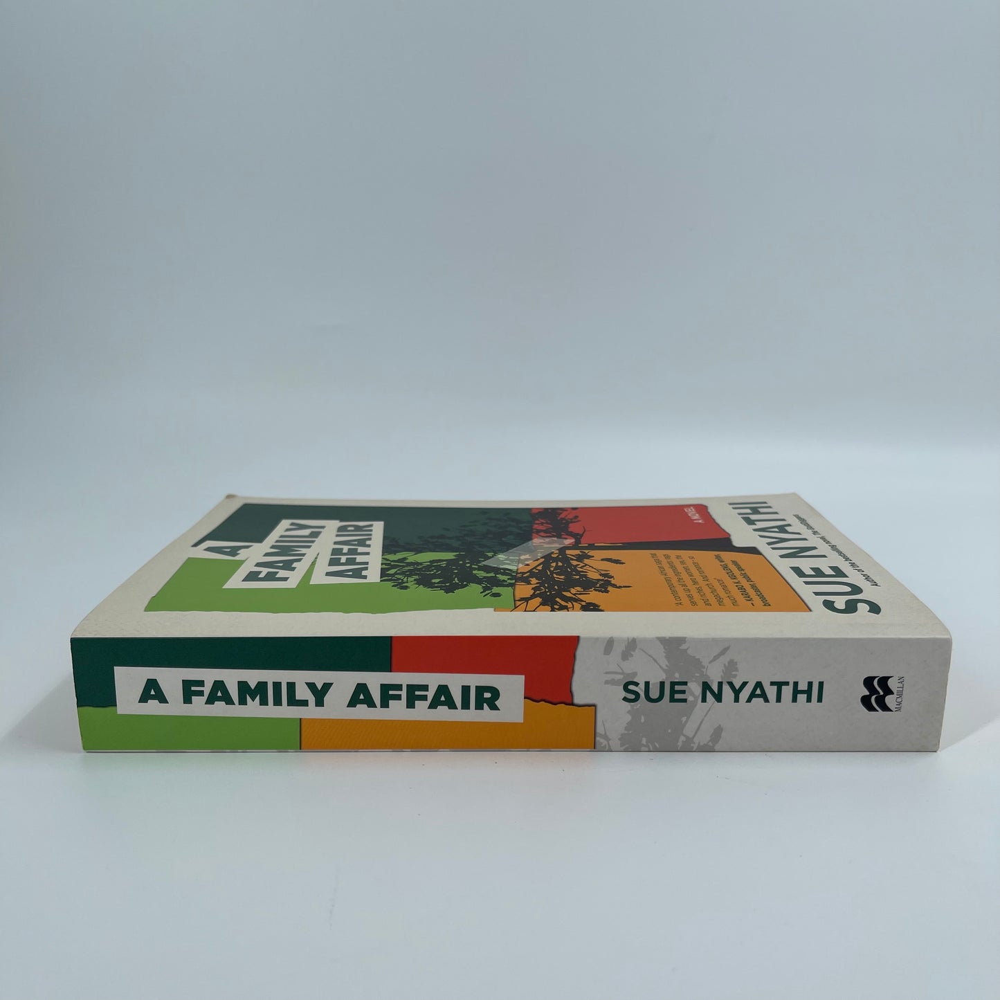 A Family Affair A Novel - Sue Nyathi - Spine
