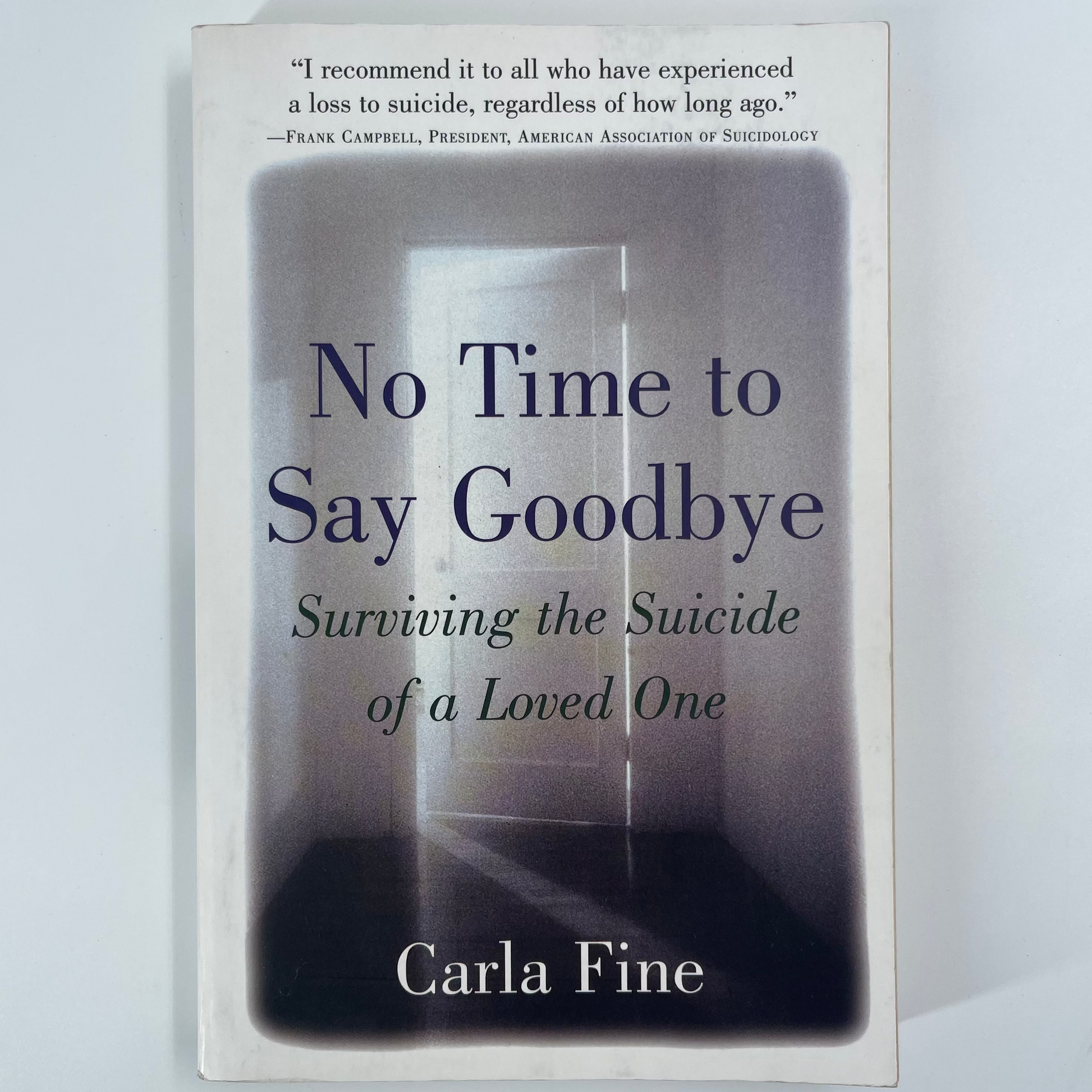No Time to Say Goodbye Surviving The Suicide Of A Loved One - Carla Fine - Front Cover