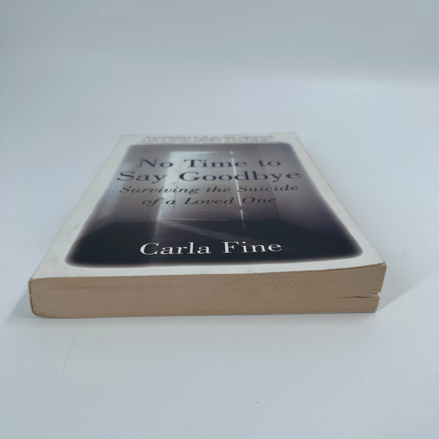 No Time to Say Goodbye Surviving The Suicide Of A Loved One - Carla Fine - Bottom Edge