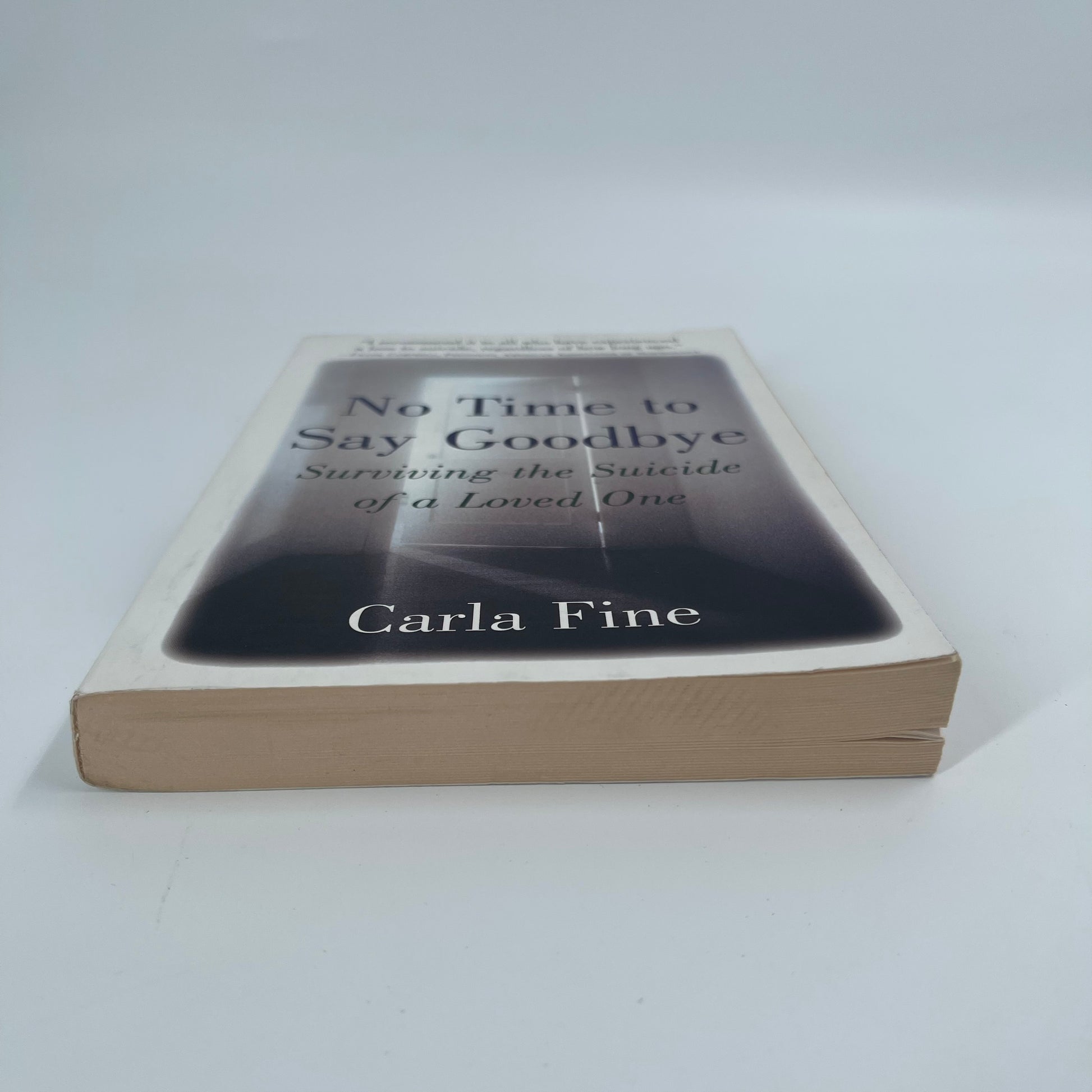 No Time to Say Goodbye Surviving The Suicide Of A Loved One - Carla Fine - Bottom Edge