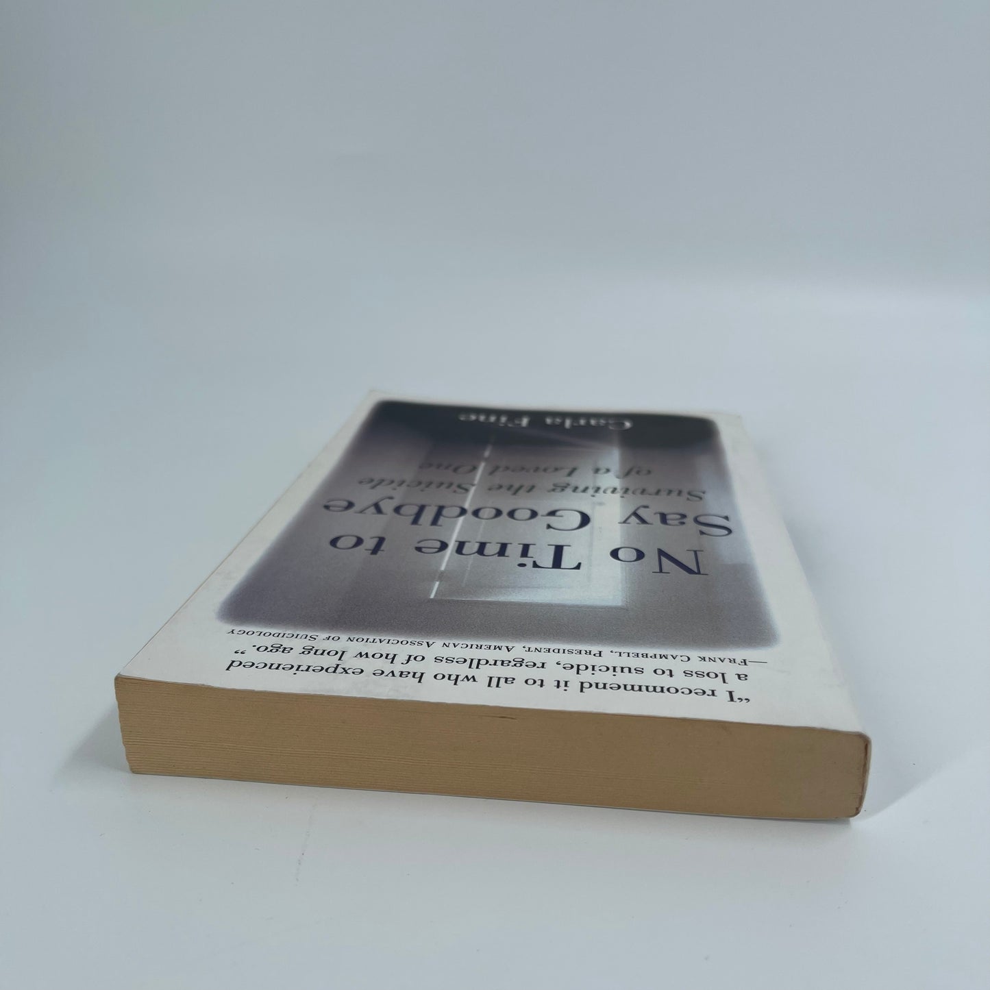 No Time to Say Goodbye Surviving The Suicide Of A Loved One - Carla Fine - Top Edge