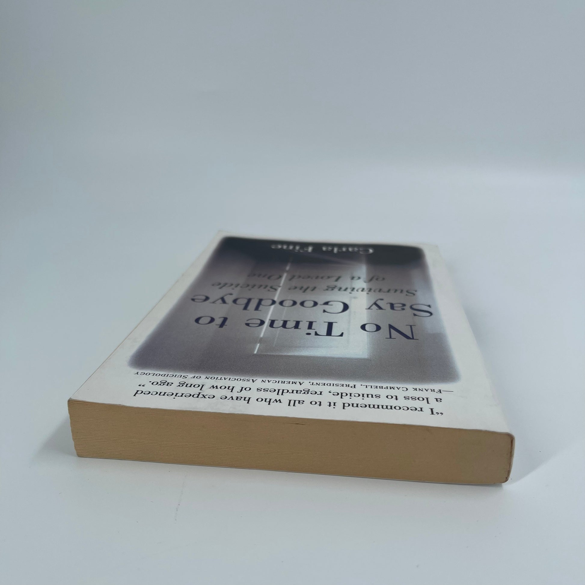 No Time to Say Goodbye Surviving The Suicide Of A Loved One - Carla Fine - Top Edge