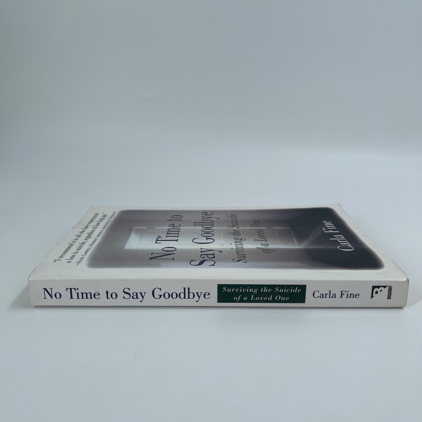 No Time to Say Goodbye Surviving The Suicide Of A Loved One - Carla Fine - Spine