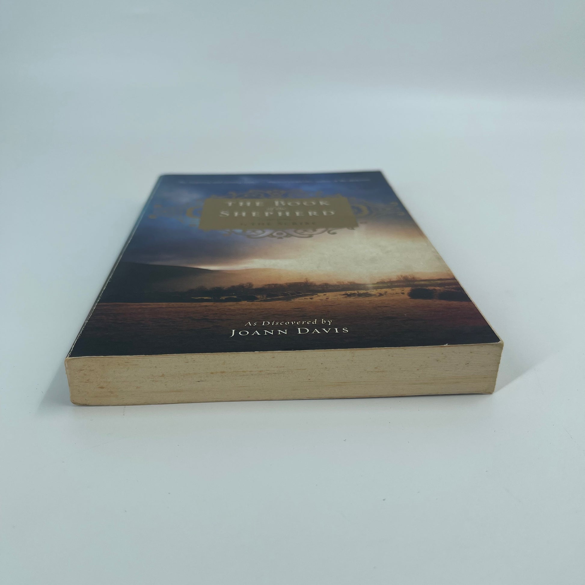 The Book of the Shepherd The Story of One Simple Prayer, and How It Changed the World - Joann Davis - Bottom Edge