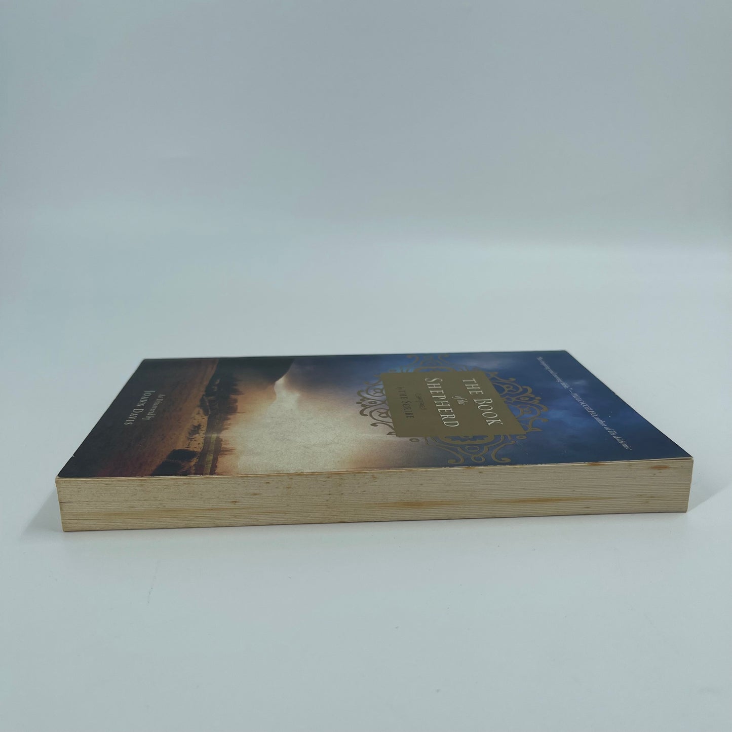 The Book of the Shepherd The Story of One Simple Prayer, and How It Changed the World - Joann Davis - Fore Edge