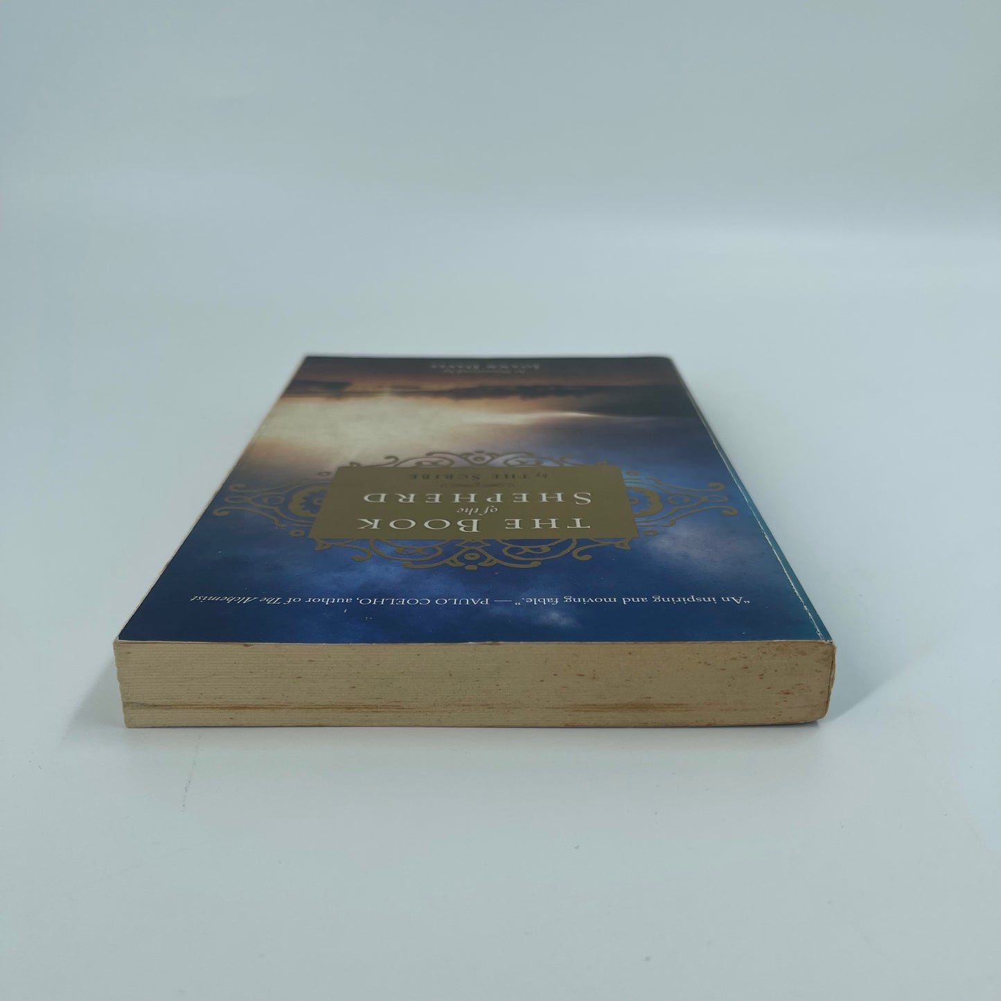 The Book of the Shepherd The Story of One Simple Prayer, and How It Changed the World - Joann Davis - Top Edge