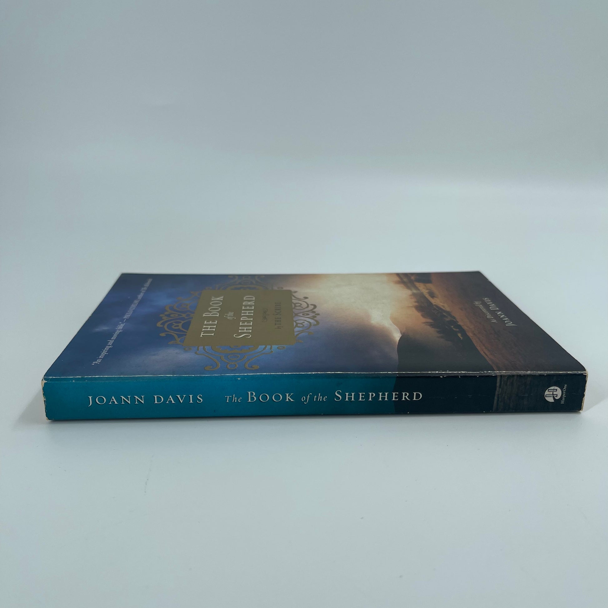 The Book of the Shepherd The Story of One Simple Prayer, and How It Changed the World - Joann Davis - Spine