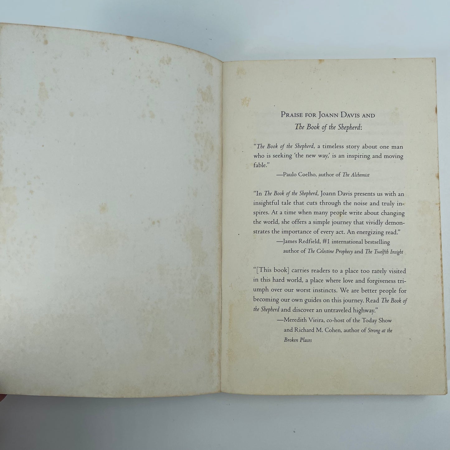 The Book of the Shepherd The Story of One Simple Prayer, and How It Changed the World - Joann Davis - Condition Detail 1