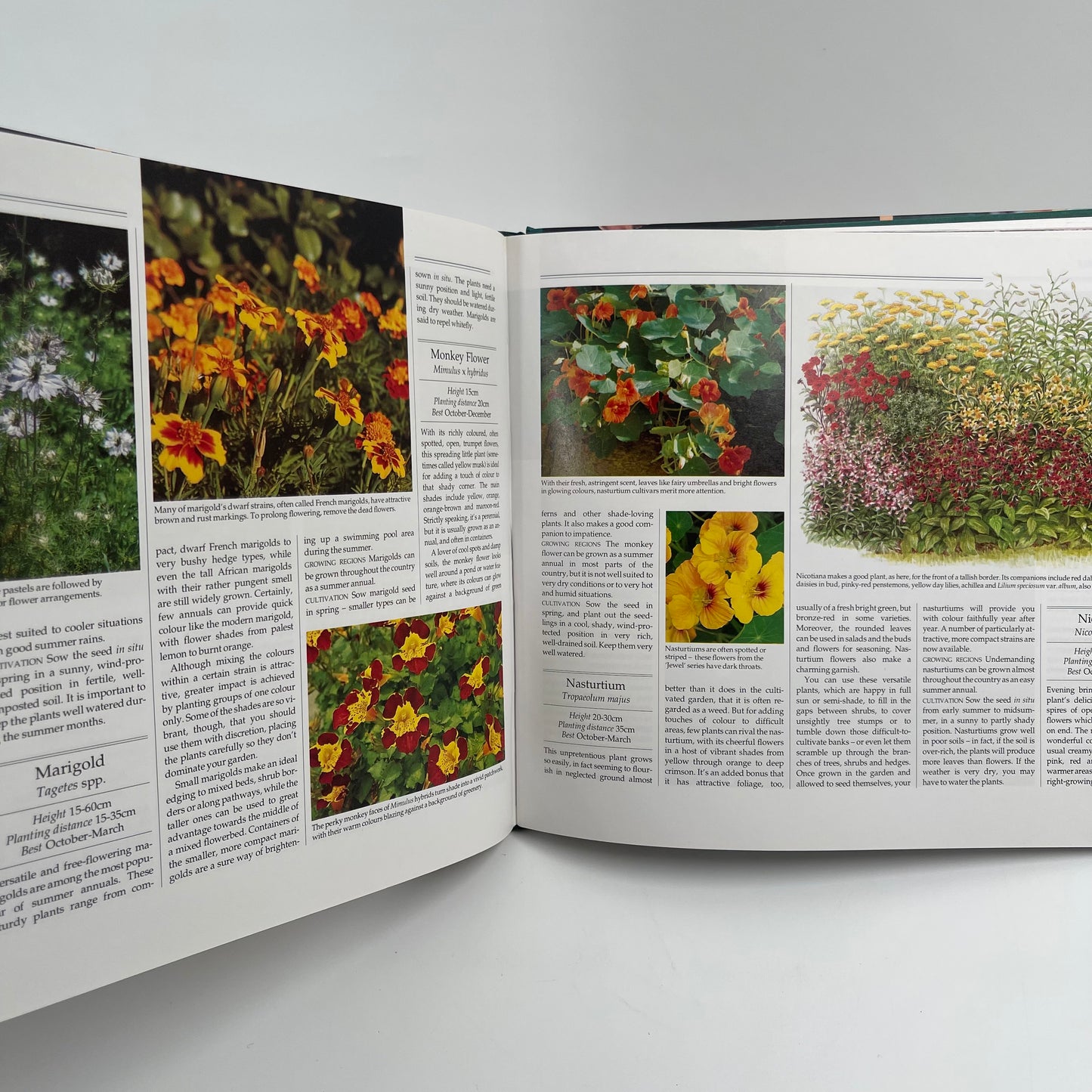 A South African Garden for All Seasons The Secrets of Year-round Garden Beauty - unknown author - Bottom Edge
