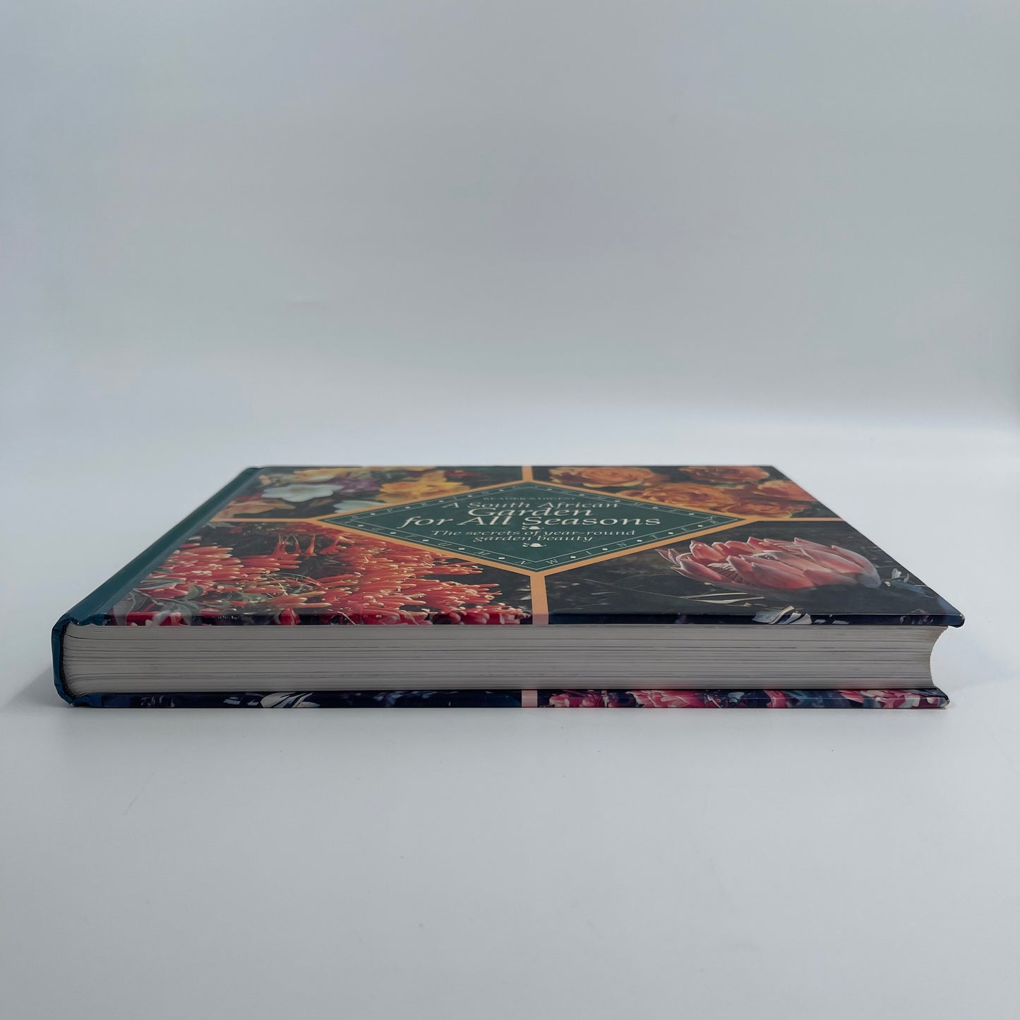 A South African Garden for All Seasons The Secrets of Year-round Garden Beauty - unknown author - Spine