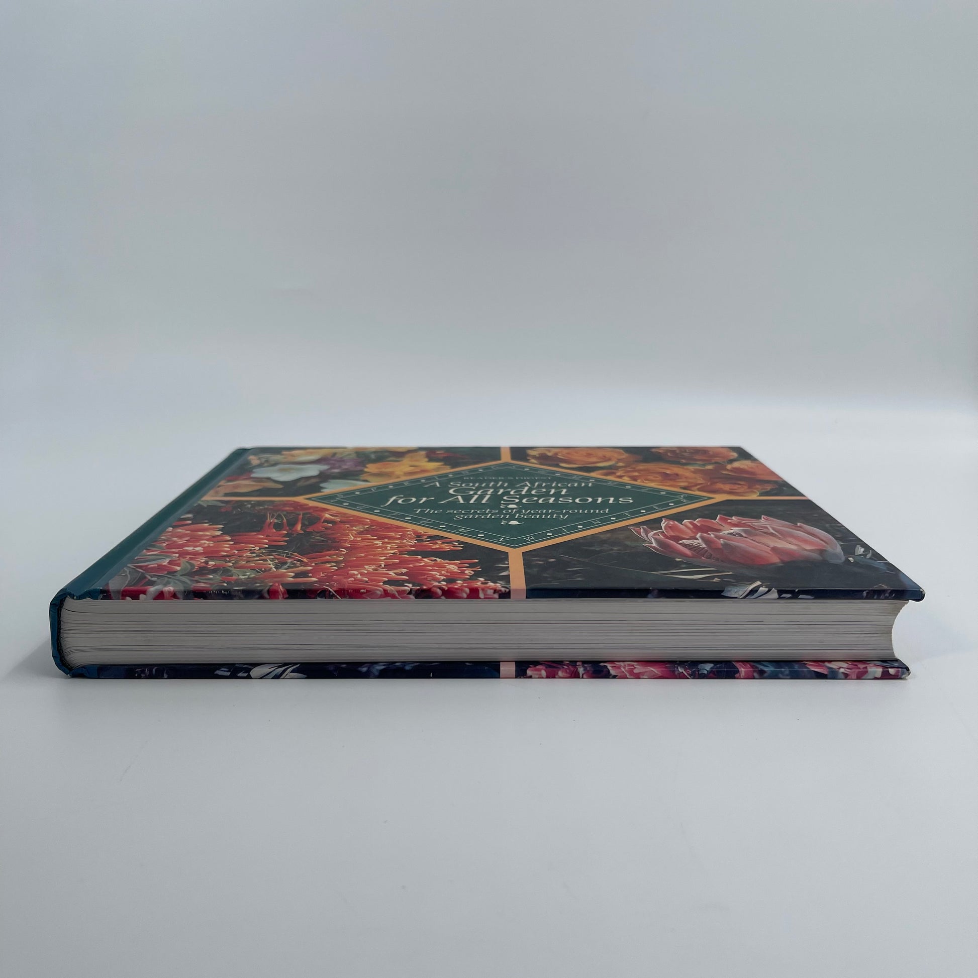 A South African Garden for All Seasons The Secrets of Year-round Garden Beauty - unknown author - Spine
