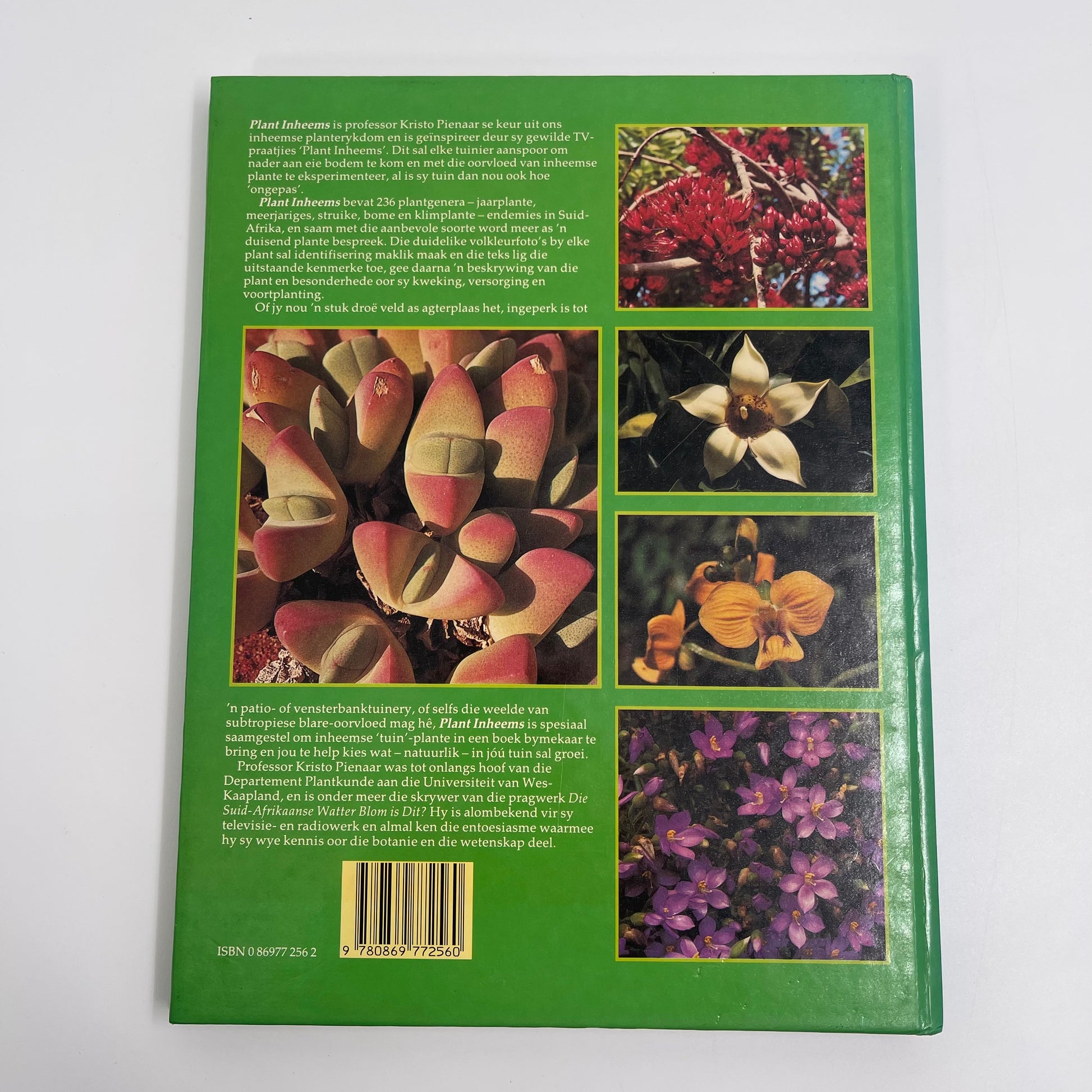 Plant inheems - Kristo Pienaar - Bottom Edge
