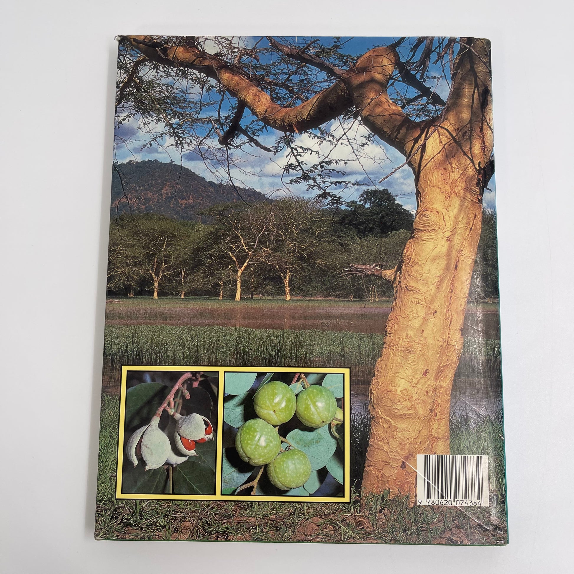 Everyone's guide to trees of South Africa - Coates Palgrave - Condition Detail 1