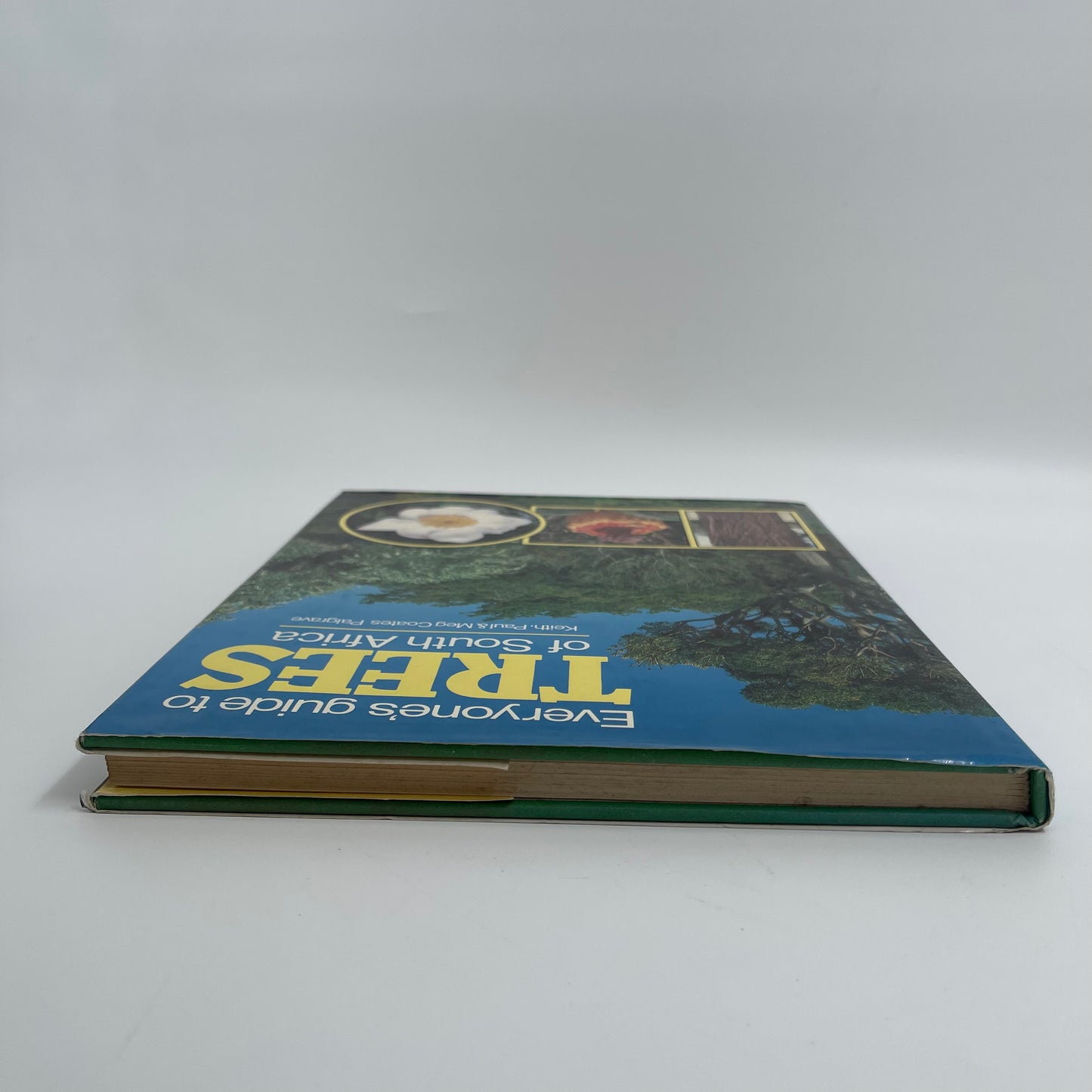 Everyone's guide to trees of South Africa - Coates Palgrave - Condition Detail 4