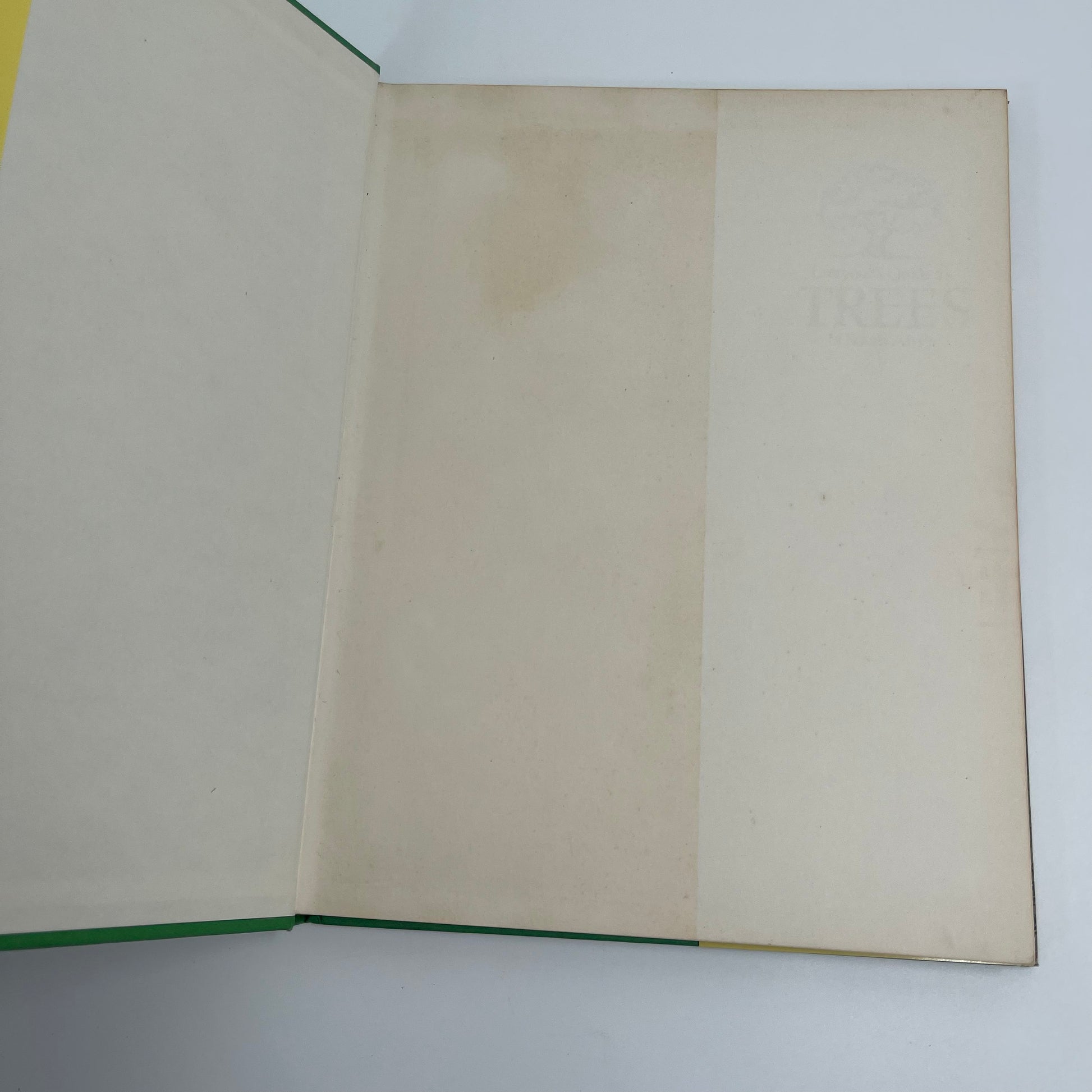Everyone's guide to trees of South Africa - Coates Palgrave - Condition Detail 7