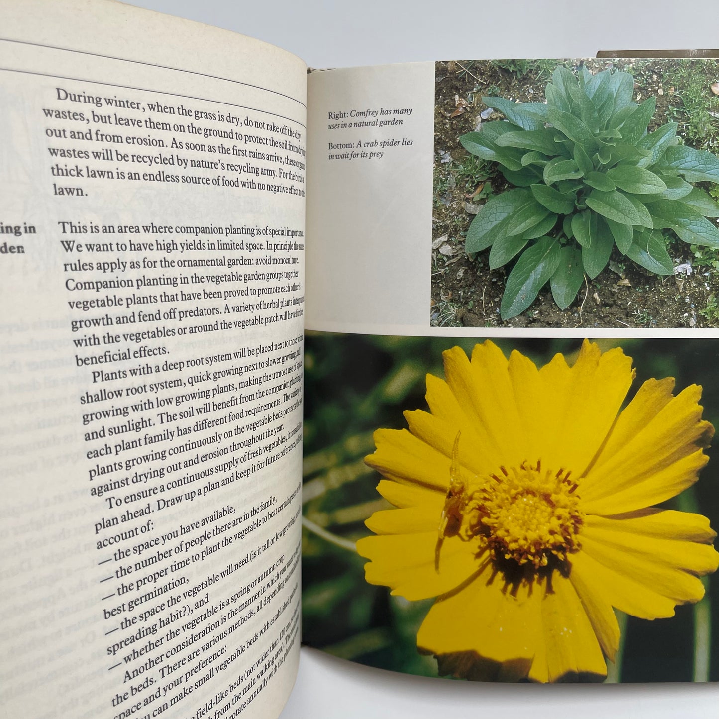 Natural gardening - Reichardt - Bottom Edge