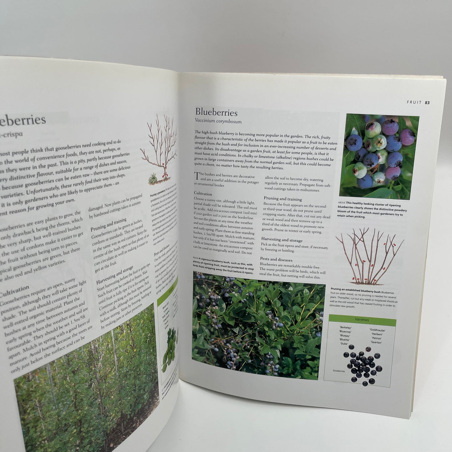 Easy to grow vegetables and fruit: A practical guide to kitchen gardening - Bird - Bottom Edge