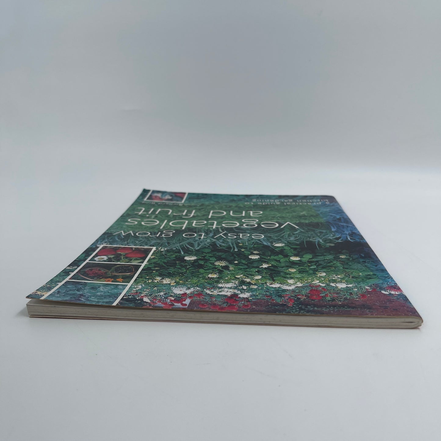 Easy to grow vegetables and fruit: A practical guide to kitchen gardening - Bird - Condition Detail 1