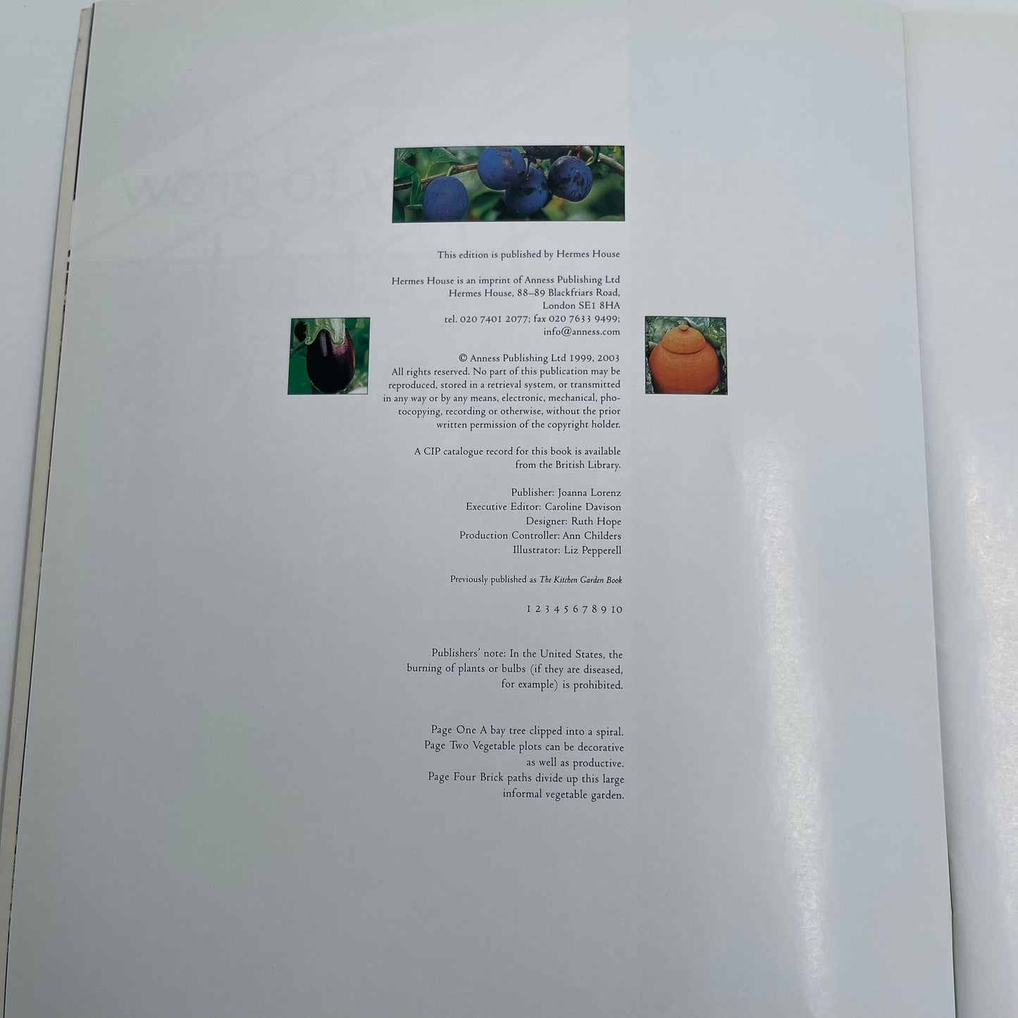 Easy to grow vegetables and fruit: A practical guide to kitchen gardening - Bird - Condition Detail 3