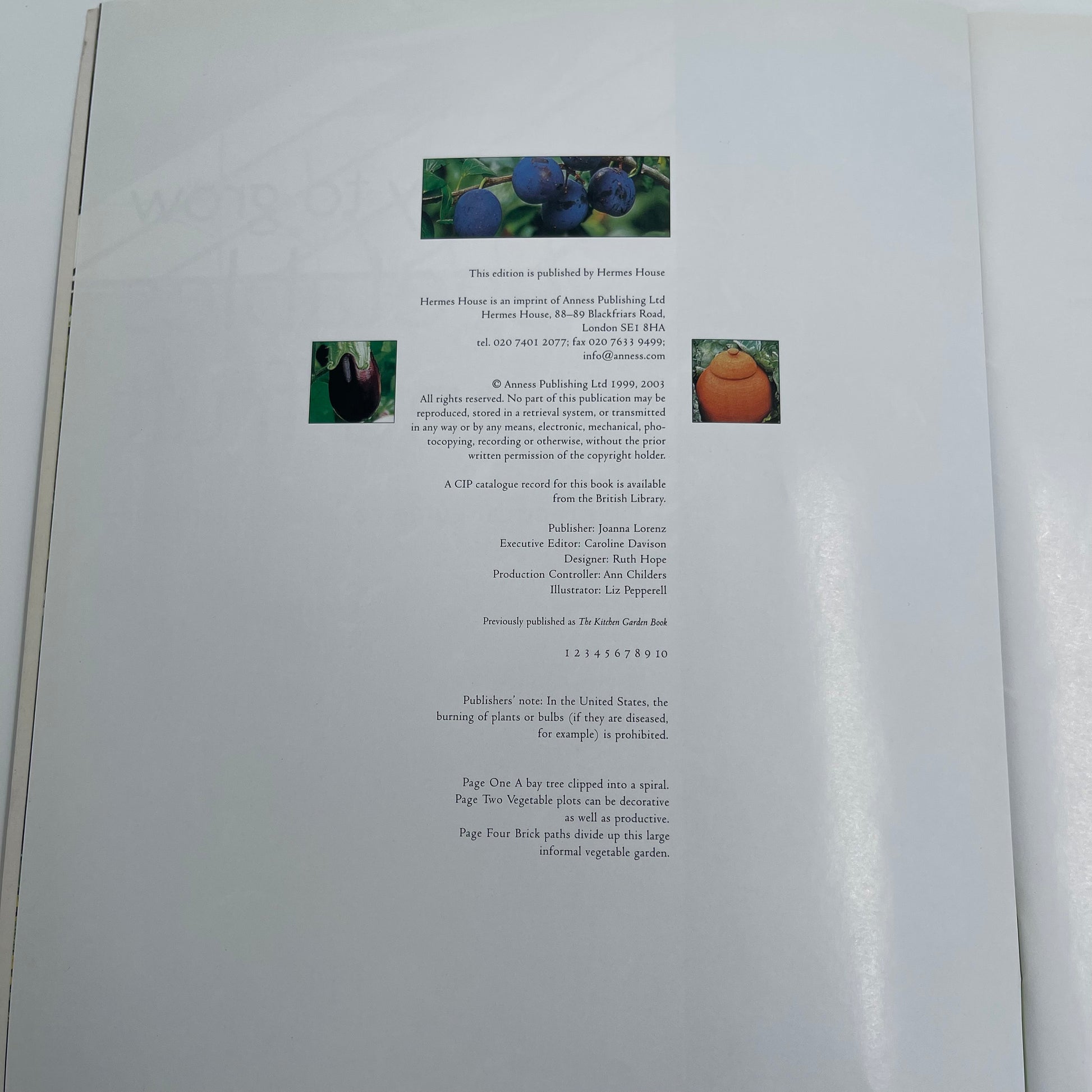 Easy to grow vegetables and fruit: A practical guide to kitchen gardening - Bird - Condition Detail 3
